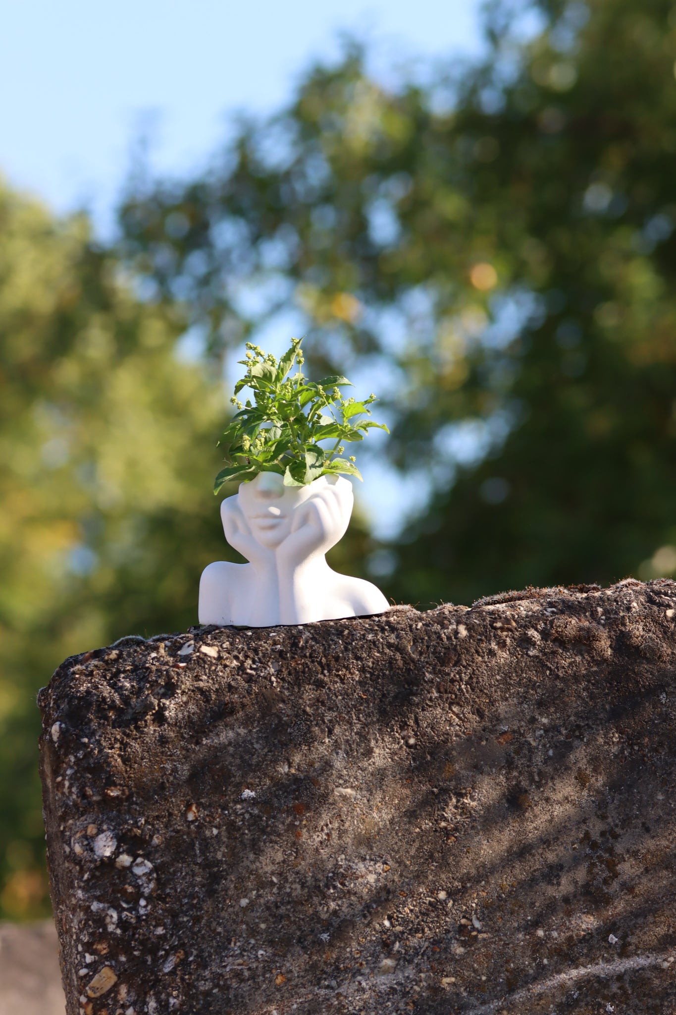 Pflanztopf pflanzen Beton weiß frostsicher Mädchen Kunst art girl Pflanzenimkopf plants flowersinmymind nature Natur deko decoration deco homedecor Garten garden Figur figure Betonfigur Topf Terrasse