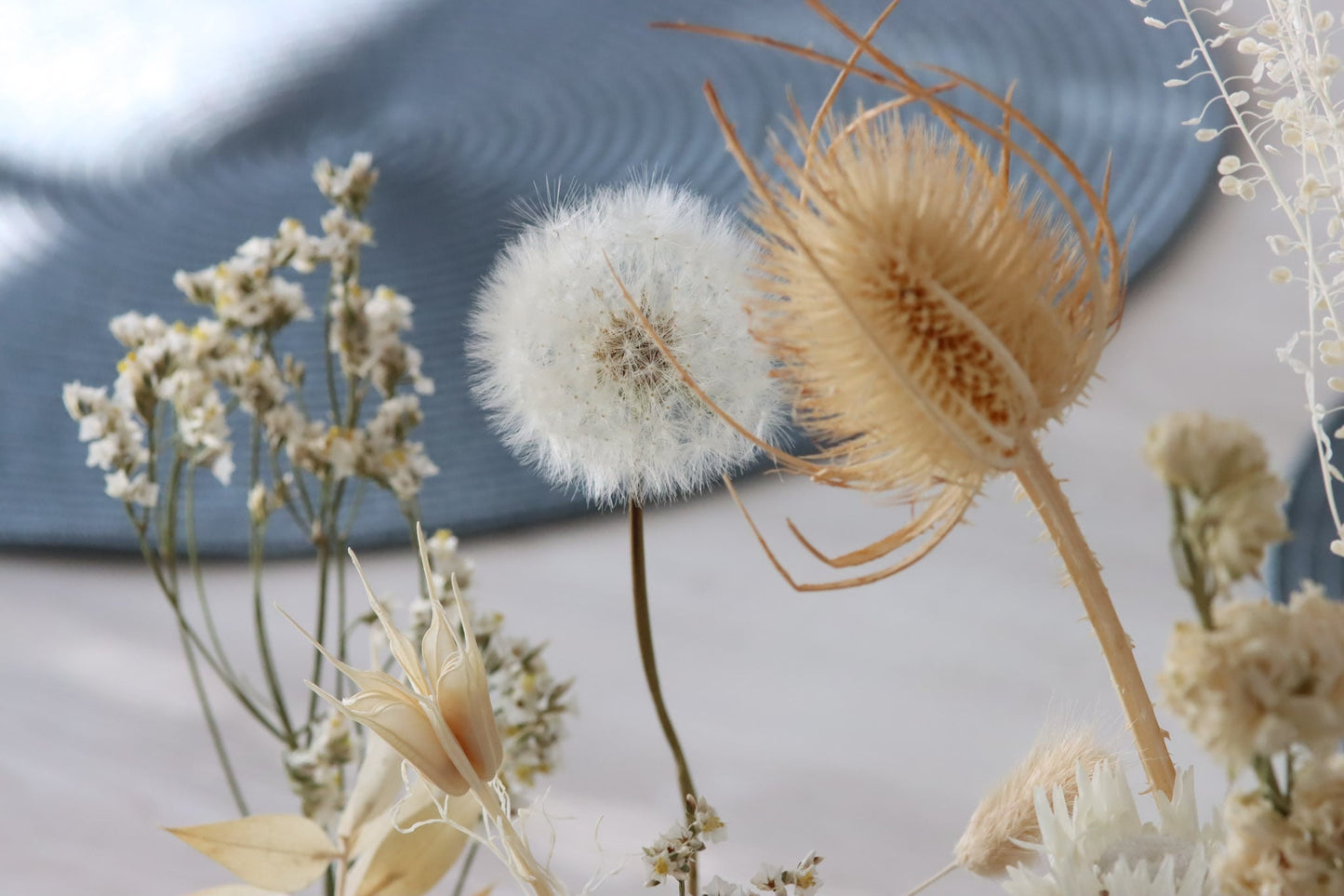 Pflanzenleiste Trockenblumen driedflowers Blumen Beton frostsicher Küche Wohnung homedeco deko decoration lovely girly Pusteblume dandelion fairy fairycore wildekarde creme