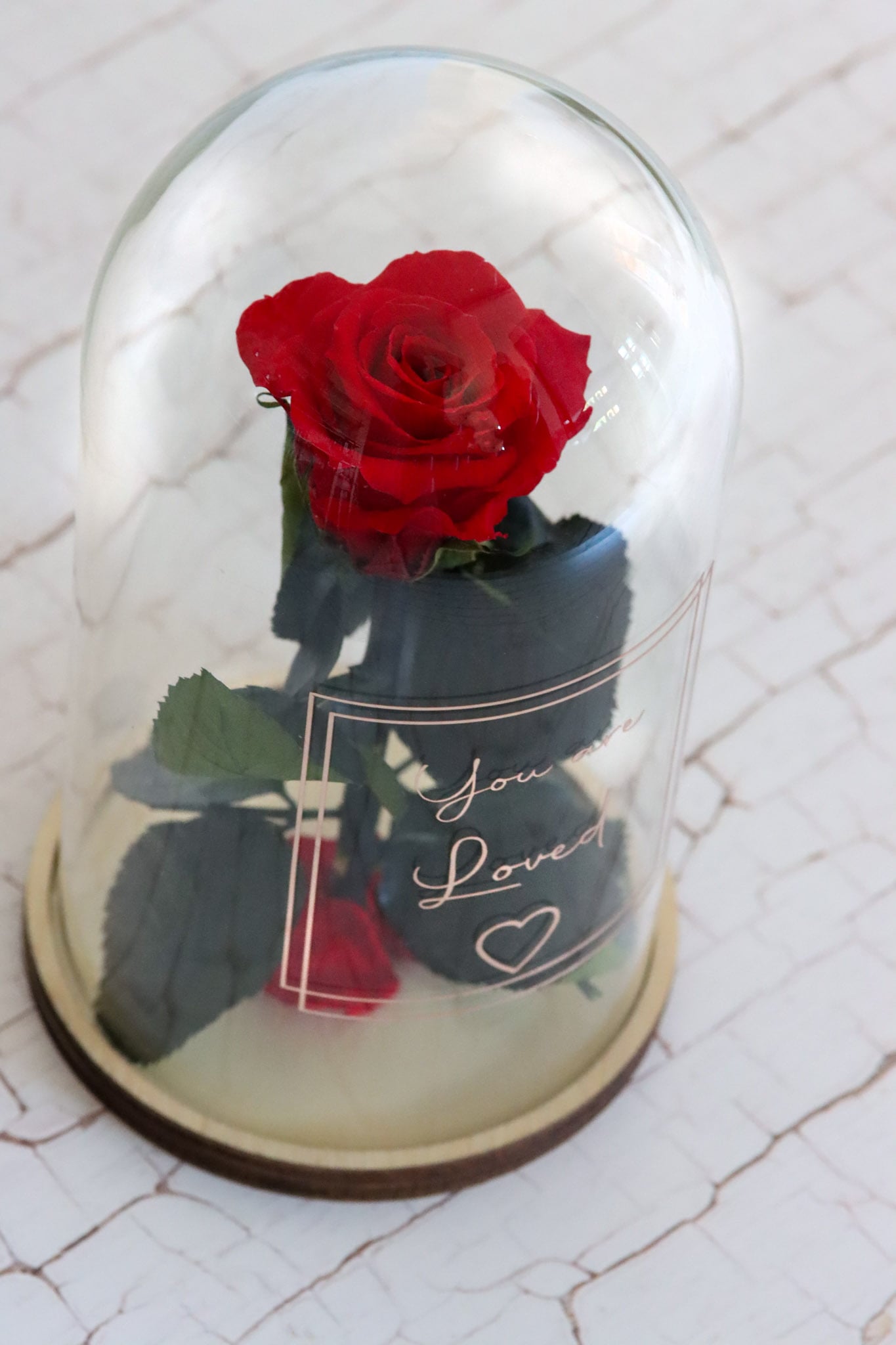 Personalisierbare Schrift ewige Rose Name Gedankenwunder Manufaktur –  Gedankenwunder HomeDecor