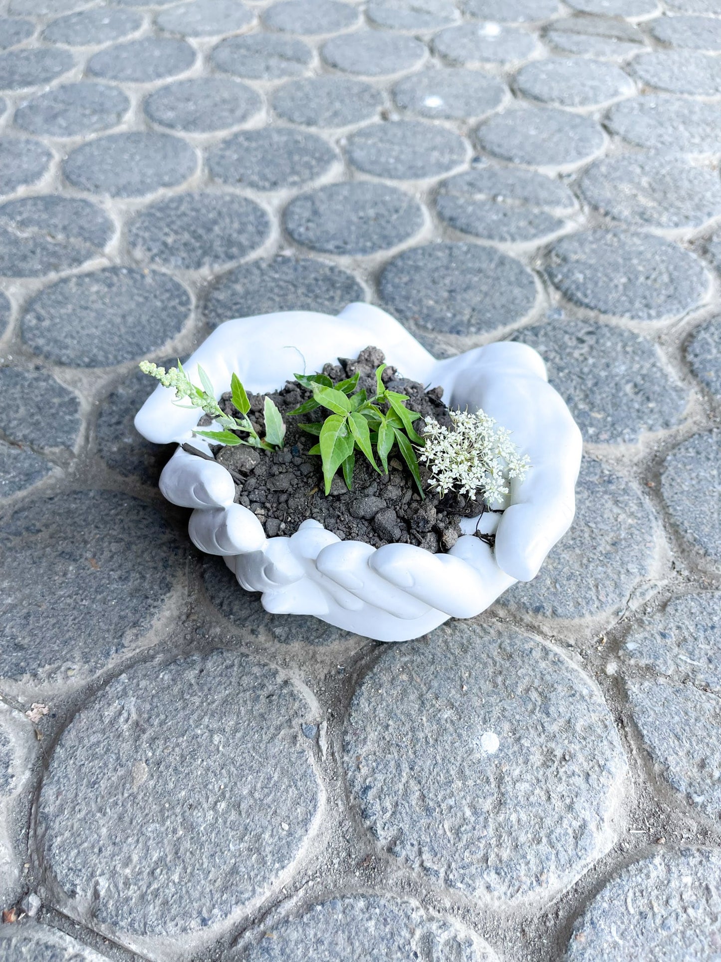 Beton Handschale Taufe Betonschale Classic grau Garten kreativ Geschenkidee Kunst Aesthetic Homedeco decoration Deko Vogeltränke Schale frostsicher Garten garden Terrasse Balkon Futterschale