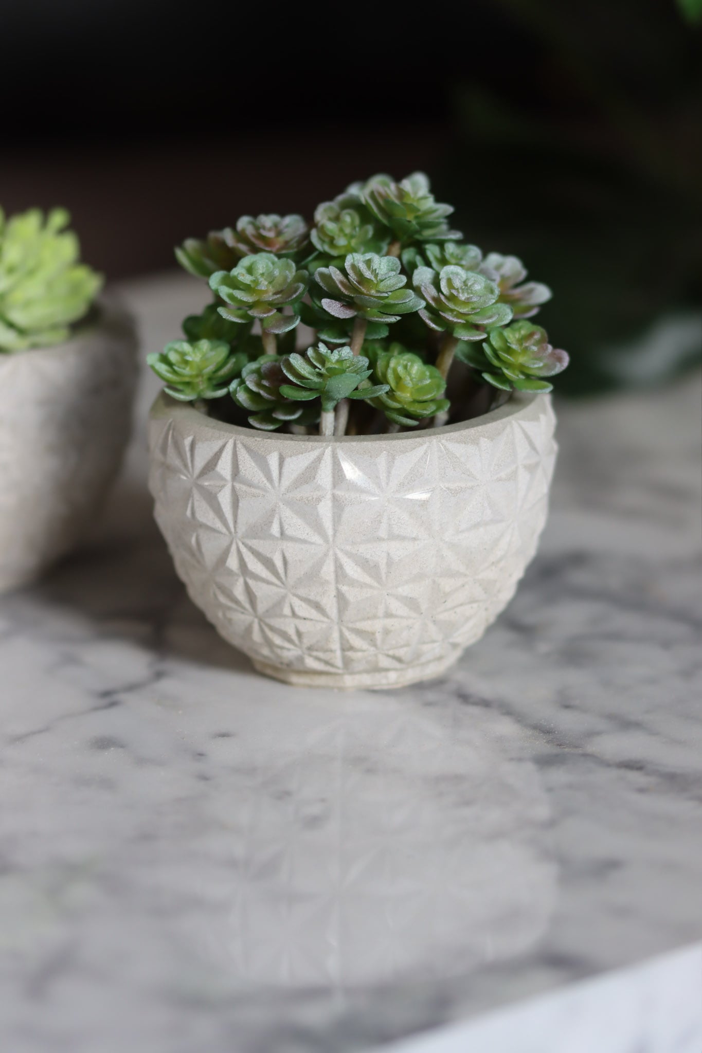 Beton klein Pflanztopf für Badezimmer Terrasse Garten Geschenkidee Pflanzen Homedecor Dekoartikel Wohnzimmer