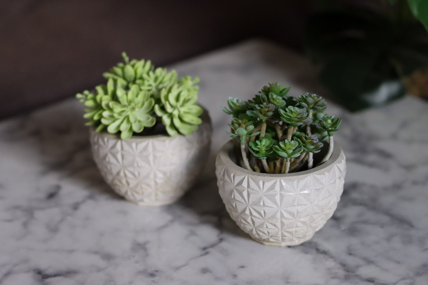 Beton klein Pflanztopf für Badezimmer Terrasse Garten Geschenkidee Pflanzen Homedecor Dekoartikel Wohnzimmer
