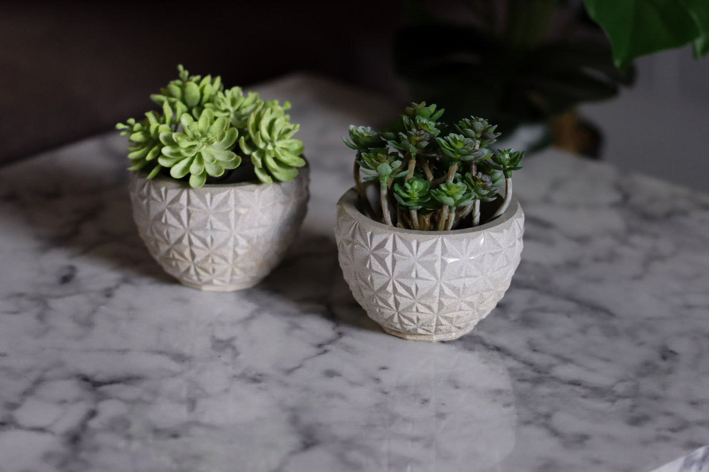 Beton klein Pflanztopf für Badezimmer Terrasse Garten Geschenkidee Pflanzen Homedecor Dekoartikel Wohnzimmer