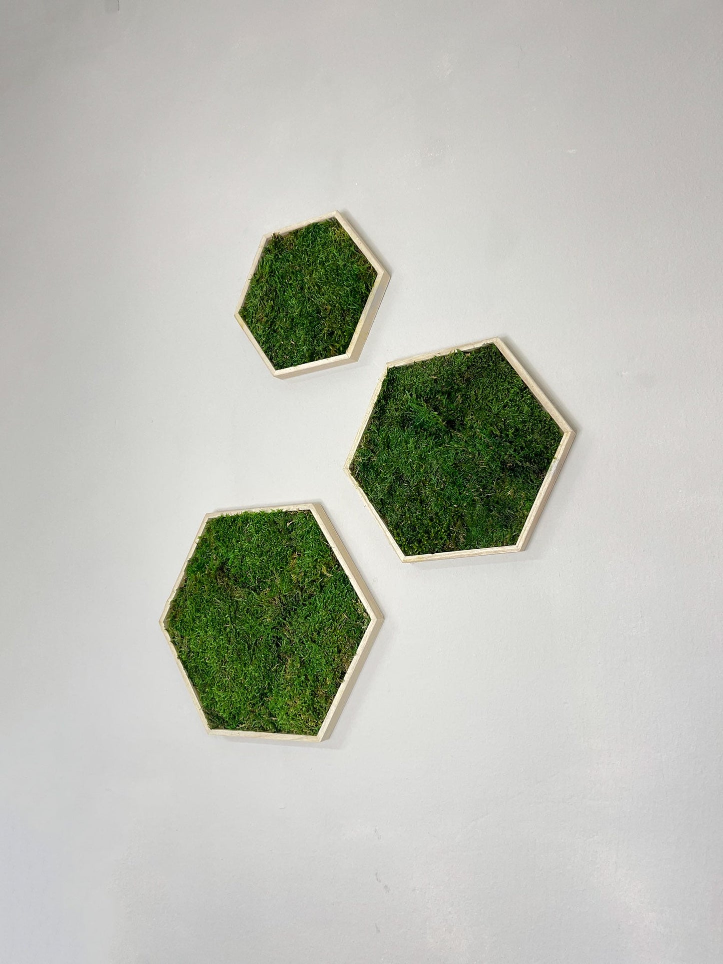 Moosbild Moos Hexagon Sechseck Bild Flachmoos grün green Restaurant Wohnzimmer Küche Praxis Büro Eiche Eichehell Natur Naturgeölt schwarz weiß Nussbaum steingrau Bilderrahmen Wunschfarbe Wunsch wish colour