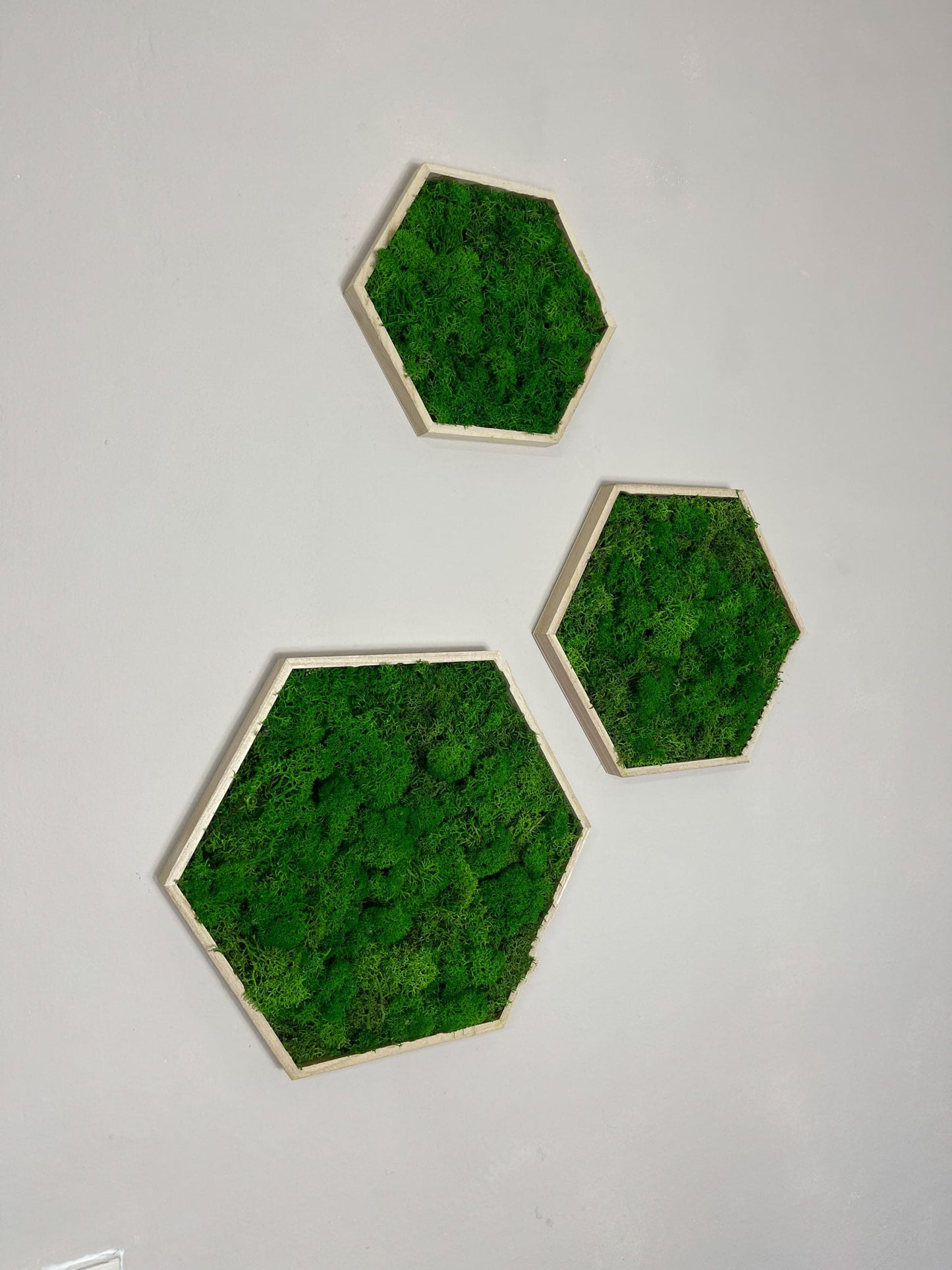 Moosbild Moos Hexagon Bild Islandmoos grün green Restaurant Wohnzimmer Küche Praxis Büro Eiche Eichehell Natur Naturgeölt schwarz weiß Nussbaum steingrau Bilderrahmen Wunschfarbe Wunsch wish colour