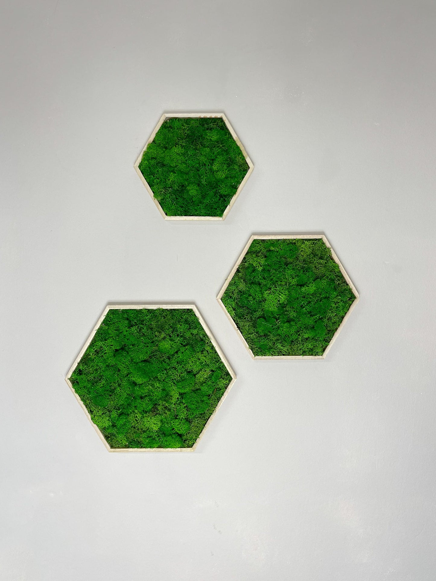Moosbild Moos Hexagon Bild Islandmoos grün green Restaurant Wohnzimmer Küche Praxis Büro Eiche Eichehell Natur Naturgeölt schwarz weiß Nussbaum steingrau Bilderrahmen Wunschfarbe Wunsch wish colour