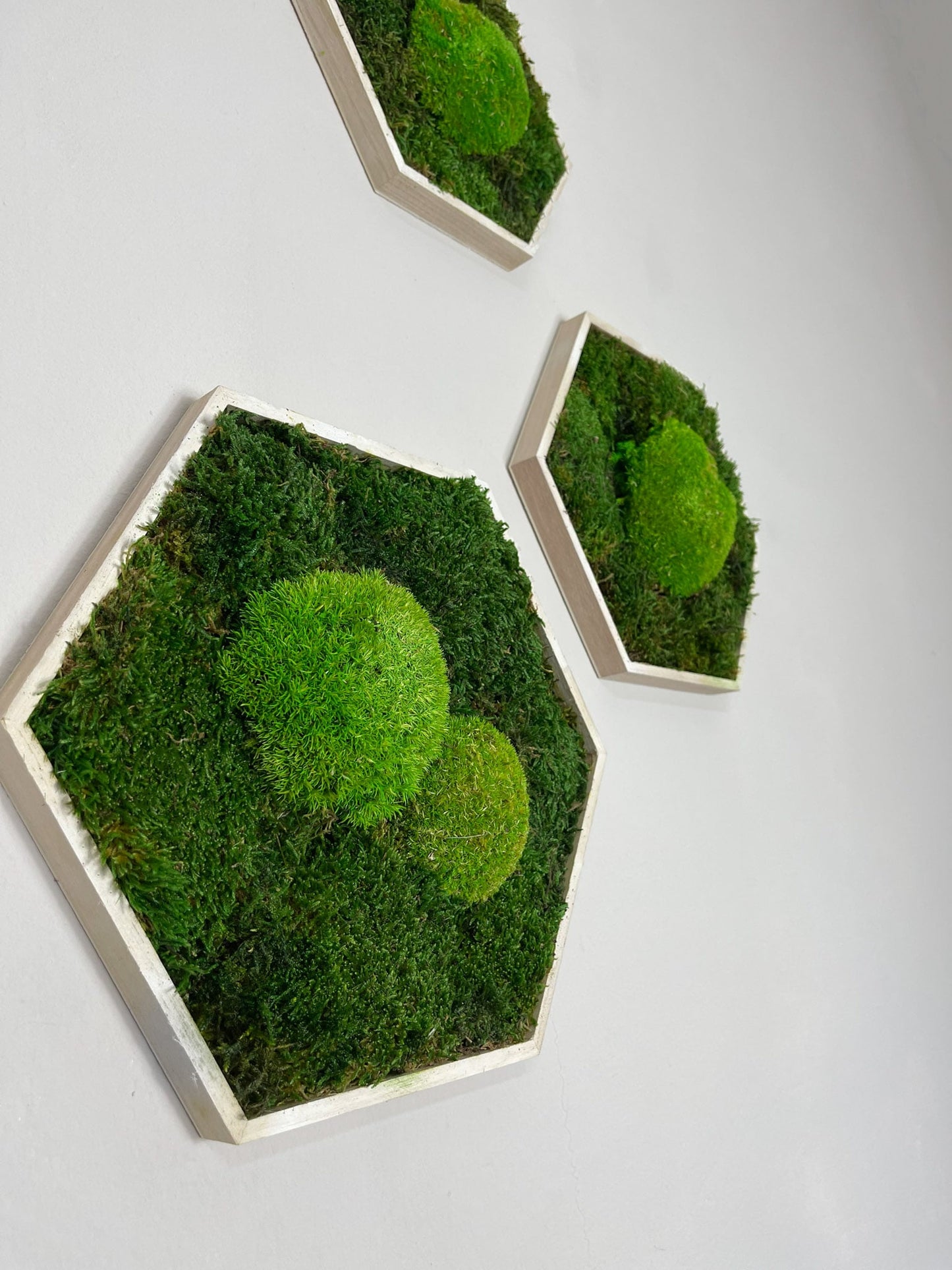 Moosbild Moos Hexagon Sechseck Bild Flachmoos Ballenmoos grün green Restaurant Wohnzimmer Küche Praxis Büro Eiche Eichehell Natur Naturgeölt schwarz weiß Nussbaum steingrau Bilderrahmen Wunschfarbe Wunsch wish colour