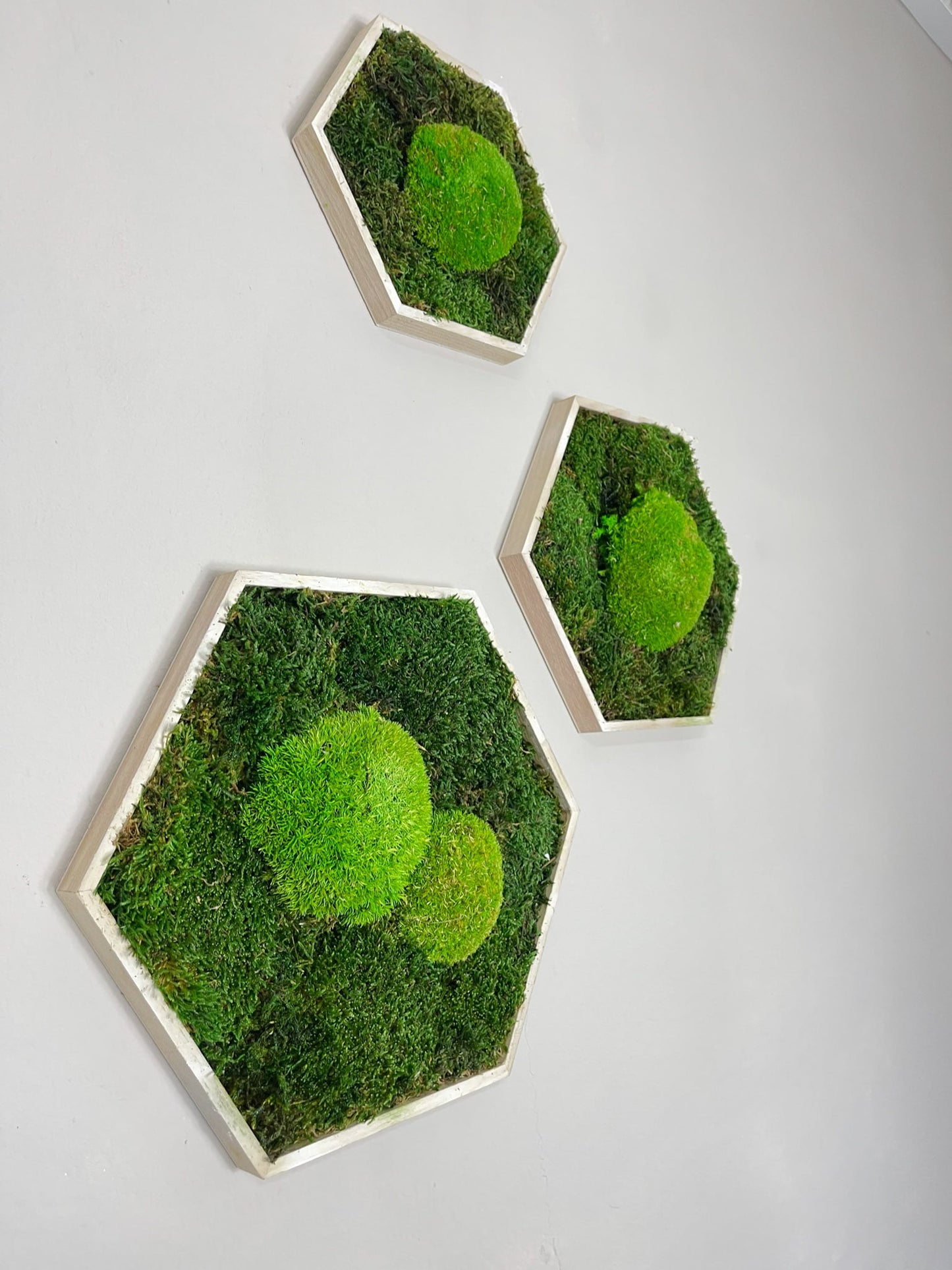 Moosbild Moos Hexagon Sechseck Bild Flachmoos Ballenmoos grün green Restaurant Wohnzimmer Küche Praxis Büro Eiche Eichehell Natur Naturgeölt schwarz weiß Nussbaum steingrau Bilderrahmen Wunschfarbe Wunsch wish colour