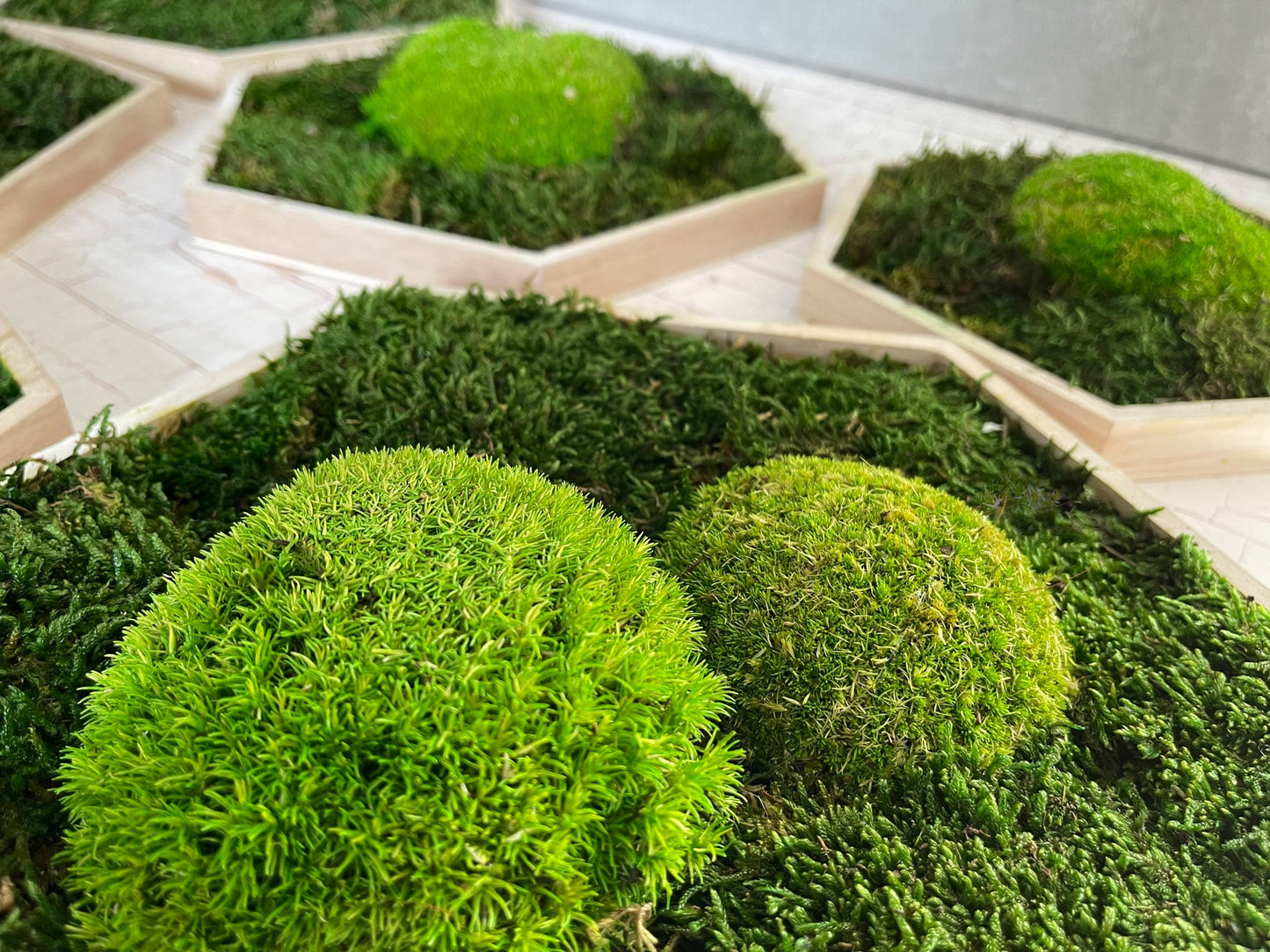 Moosbild Moos Hexagon Sechseck Bild Flachmoos Ballenmoos grün green Restaurant Wohnzimmer Küche Praxis Büro Eiche Eichehell Natur Naturgeölt schwarz weiß Nussbaum steingrau Bilderrahmen Wunschfarbe Wunsch wish colour