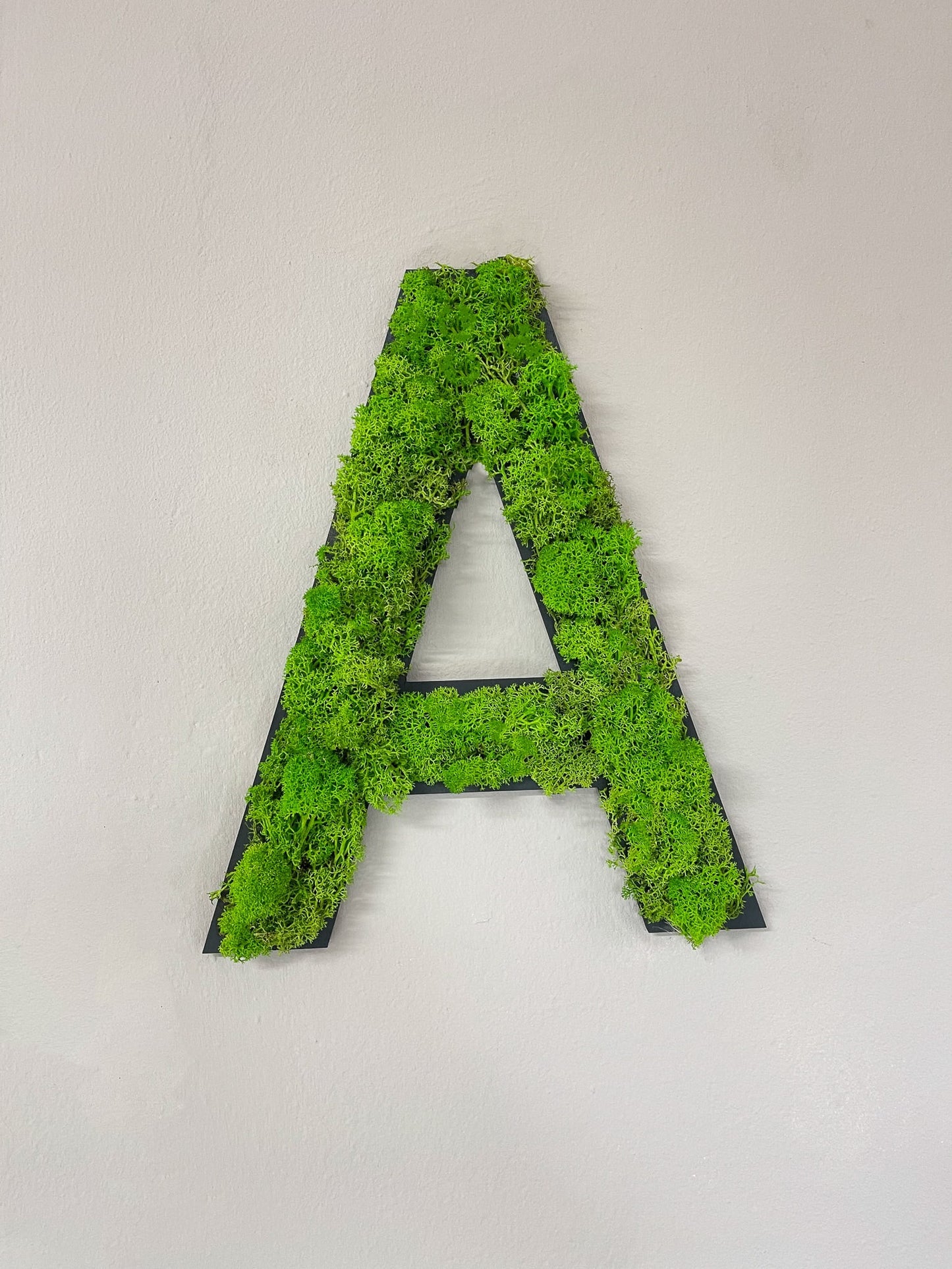 Buchstabe Islandmoos Moosbild mit MDF-Holz Untergrund in vielen Farben