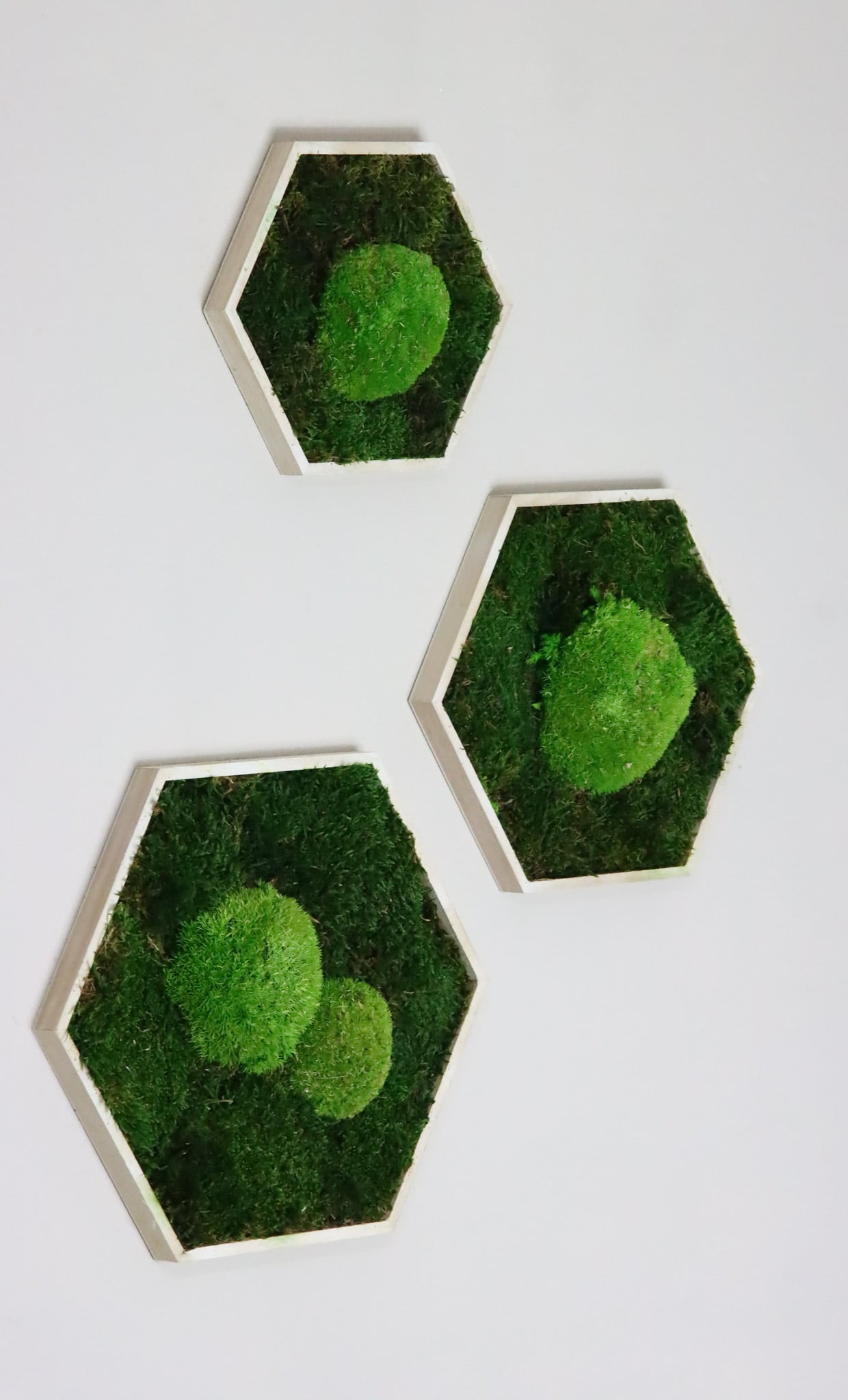 Moosbild Moos Hexagon Sechseck Bild Flachmoos Ballenmoos grün green Restaurant Wohnzimmer Küche Praxis Büro Eiche Eichehell Natur Naturgeölt schwarz weiß Nussbaum steingrau Bilderrahmen Wunschfarbe Wunsch wish colour