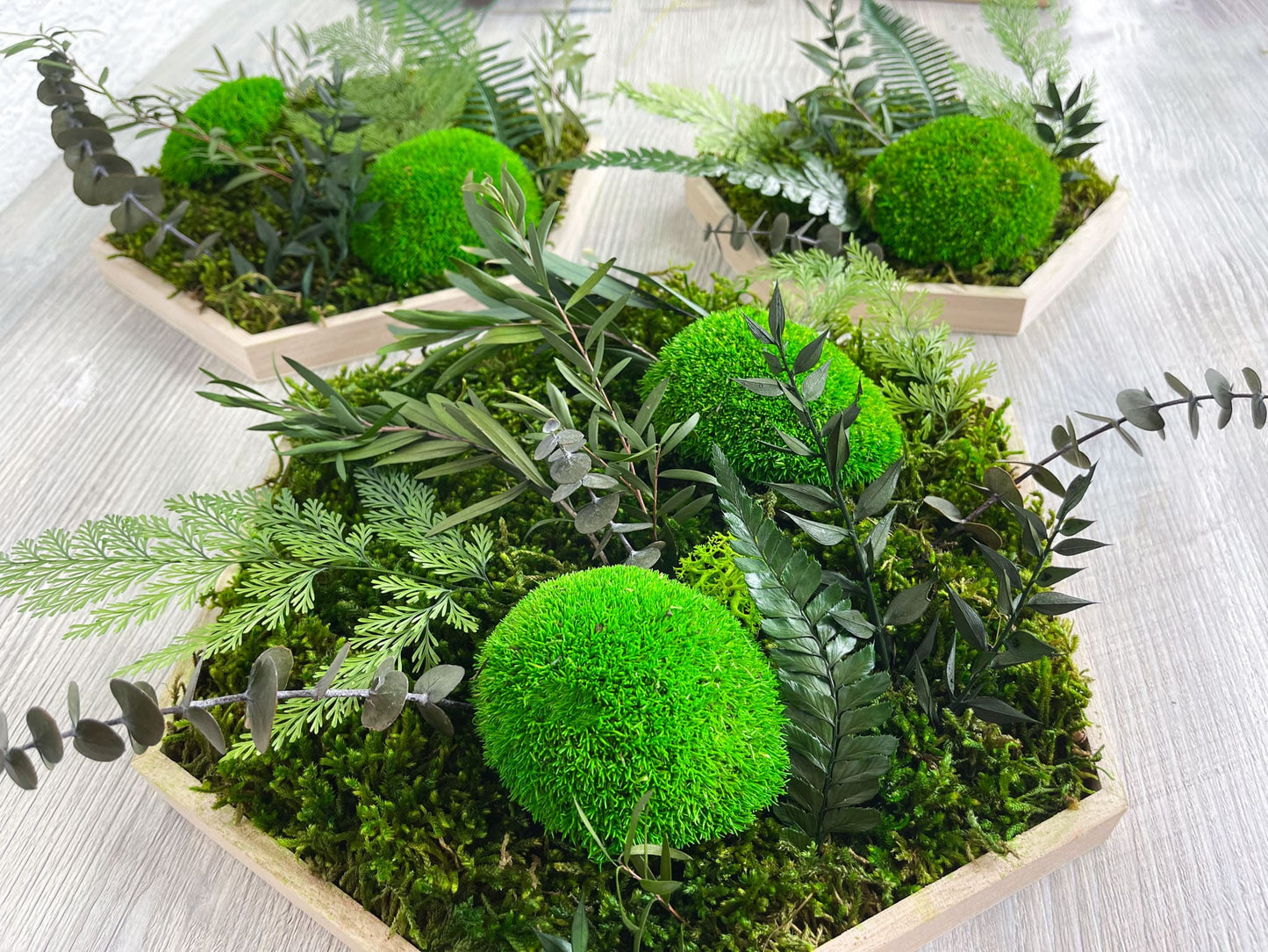 Geschenk Rahmen Hexagon Wabe Bienenwabe Waben modern Sechseck moos Moosbild Hellgrün Grün Natur Moobilder Mooswand Pflanzen Pflanzenbild Flachmoos Waldmoos Muttertag Geburtstag Wohnung Dschungel Dschungelbild Wand Deko Dekoration Dschungelmoos