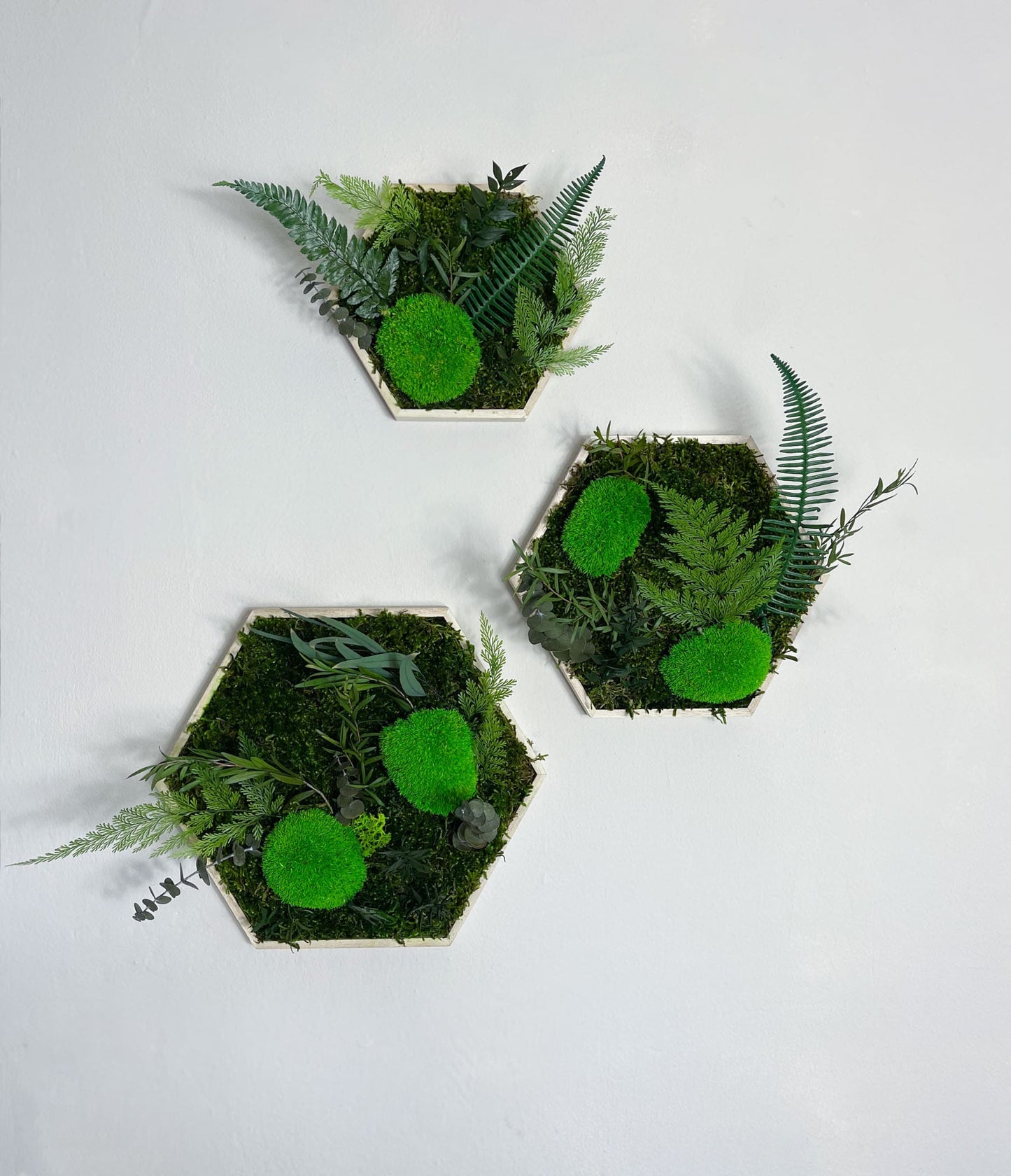 Geschenk Rahmen Hexagon Wabe Bienenwabe Waben modern Sechseck moos Moosbild Hellgrün Grün Natur Moobilder Mooswand Pflanzen Pflanzenbild Flachmoos Waldmoos Muttertag Geburtstag Wohnung Dschungel Dschungelbild Wand Deko Dekoration Wandpaneele Paneele Akustik