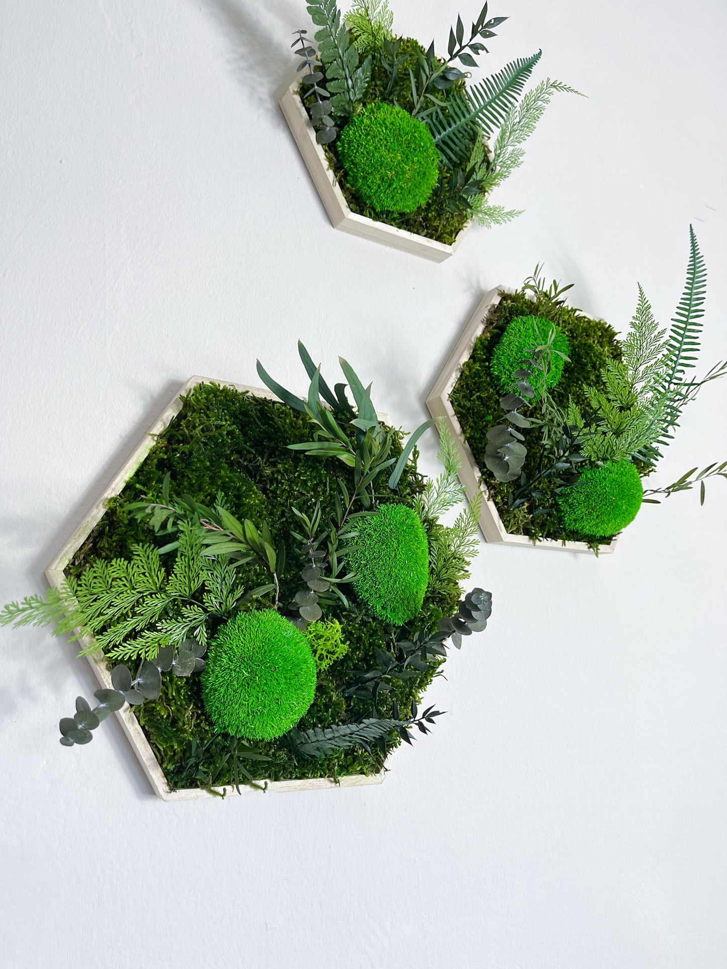 Geschenk Rahmen Hexagon Wabe Bienenwabe Waben modern Sechseck moos Moosbild Hellgrün Grün Natur Moobilder Mooswand Pflanzen Pflanzenbild Flachmoos Waldmoos Muttertag Geburtstag Wohnung Dschungel Dschungelbild Wand Deko Dekoration Hügel Ball