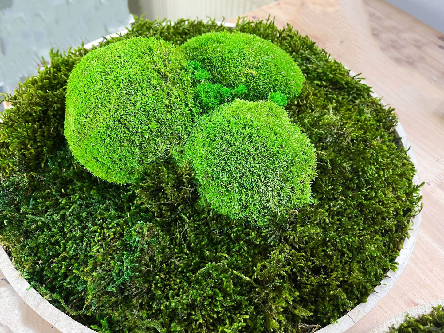 Moosbild Rund Holz Rahmen Flachmoos & Ballenmoos Kreis