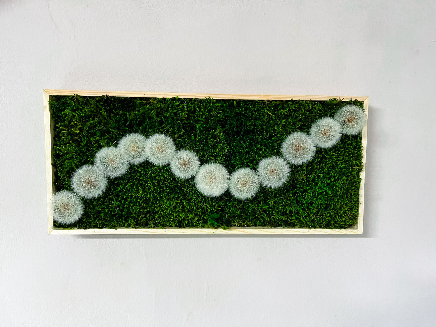 Geschenk Pusteblume Rahmen Rechteck Islandmoos moos Moosbild Rentiermoos Hellgrün Grün Natur Bollenmoos Moobilder Mooswand Pflanzen Pflanzenbild Pusteblume Pusteblumen Löwenzahn Flachmoos Waldmoos Muttertag Geburtstag Wohnung
