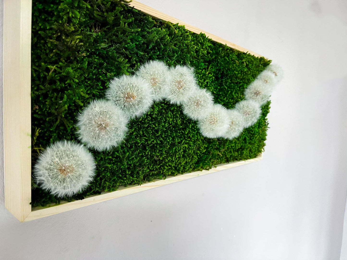 Geschenk Pusteblume Rahmen Rechteck Islandmoos moos Moosbild Rentiermoos Hellgrün Grün Natur Bollenmoos Moobilder Mooswand Pflanzen Pflanzenbild Pusteblume Pusteblumen Löwenzahn Flachmoos Waldmoos Muttertag Geburtstag Wohnung Wellen