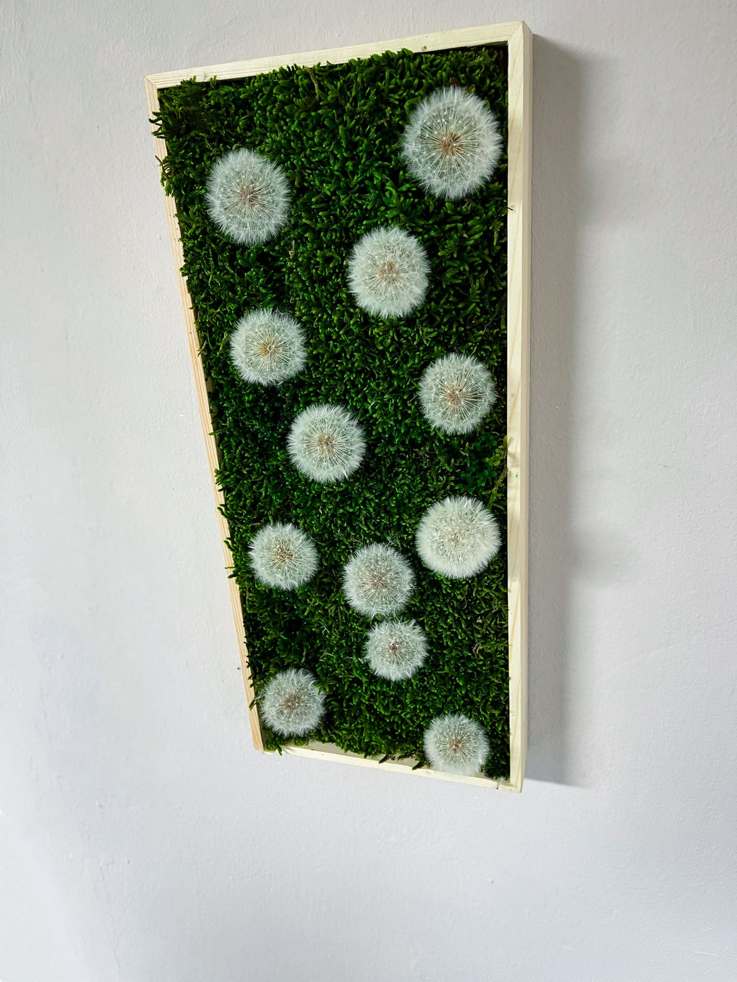 Geschenk Pusteblume Rahmen Rechteck Islandmoos moos Moosbild Rentiermoos Hellgrün Grün Natur Bollenmoos Moobilder Mooswand Pflanzen Pflanzenbild Pusteblume Pusteblumen Löwenzahn Flachmoos Waldmoos Muttertag Geburtstag Wohnung Wiese