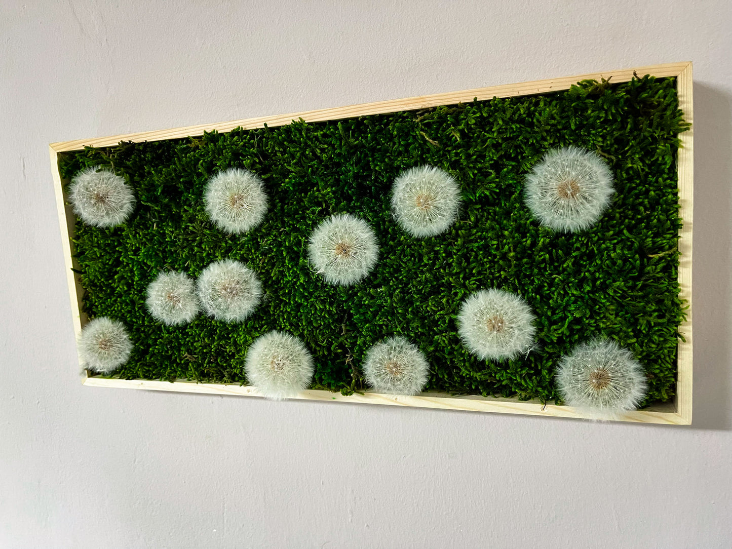Geschenk Pusteblume Rahmen Rechteck Islandmoos moos Moosbild Rentiermoos Hellgrün Grün Natur Bollenmoos Moobilder Mooswand Pflanzen Pflanzenbild Pusteblume Pusteblumen Löwenzahn Flachmoos Waldmoos Muttertag Geburtstag Wohnung Blume