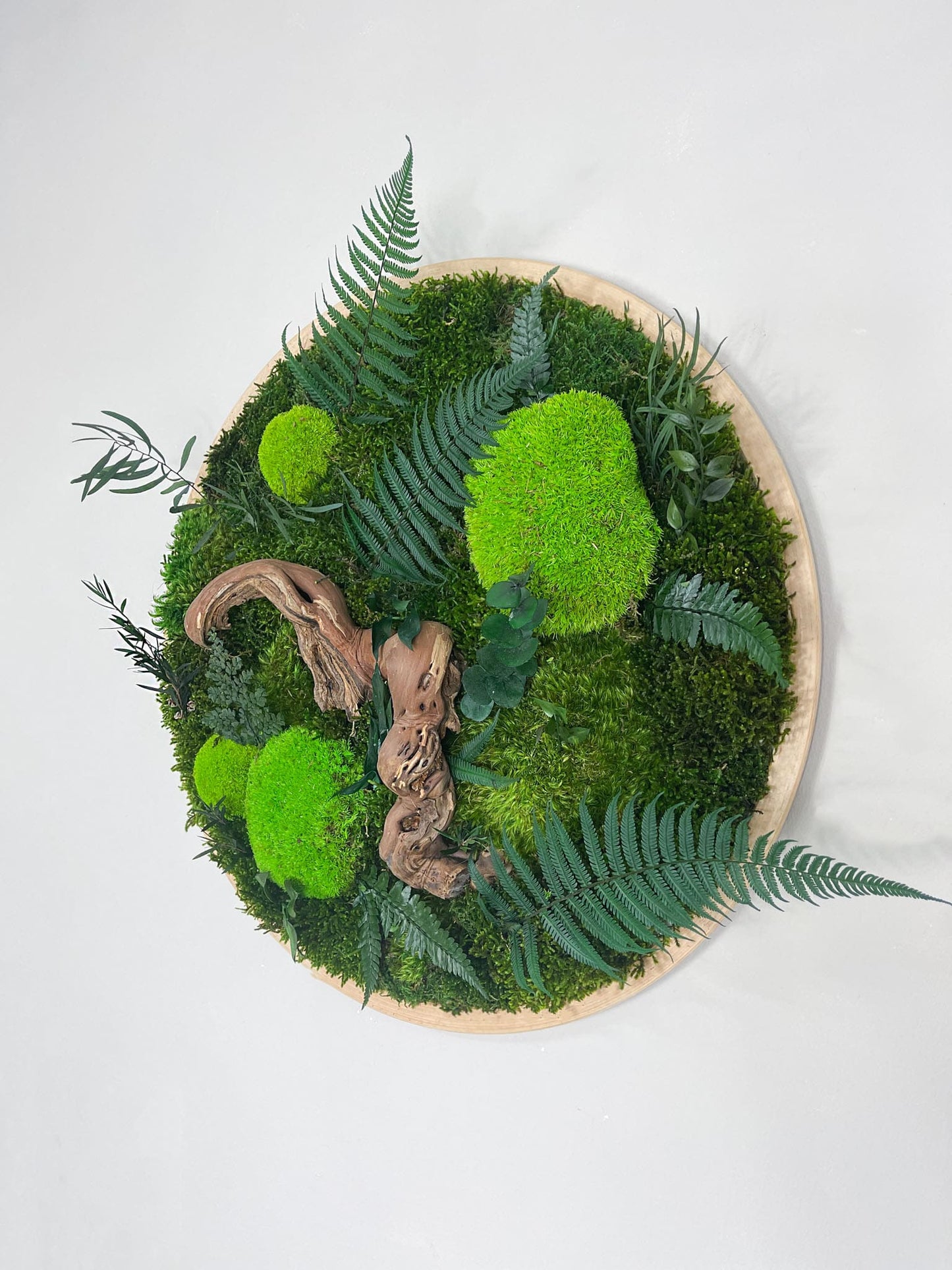 Geschenk Pusteblume Rahmen Rechteck Islandmoos moos Moosbild Rentiermoos Hellgrün Grün Natur Bollenmoos Moobilder Mooswand Pflanzen Pflanzenbild Pusteblume Pusteblumen Löwenzahn Flachmoos Waldmoos Muttertag Geburtstag Wohnung Dschungel Rund