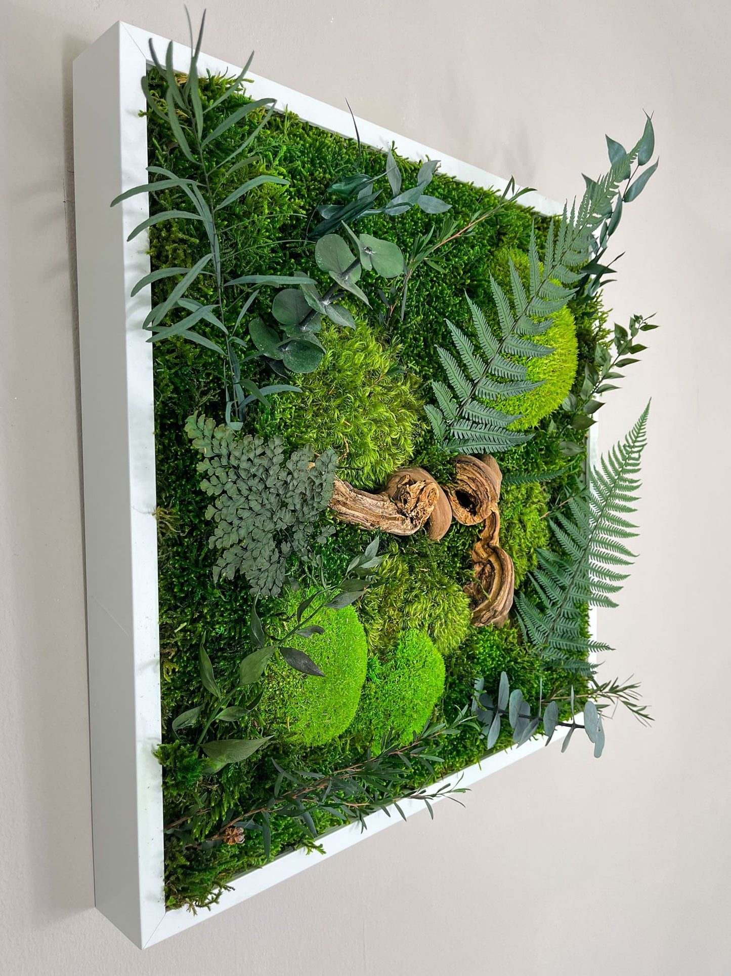 Geschenk Pusteblume Rahmen Rechteck Islandmoos moos Moosbild Rentiermoos Hellgrün Grün Natur Bollenmoos Moobilder Mooswand Pflanzen Pflanzenbild Pusteblume Pusteblumen Löwenzahn Flachmoos Waldmoos Muttertag Geburtstag Wohnung Dschungel Treibholz