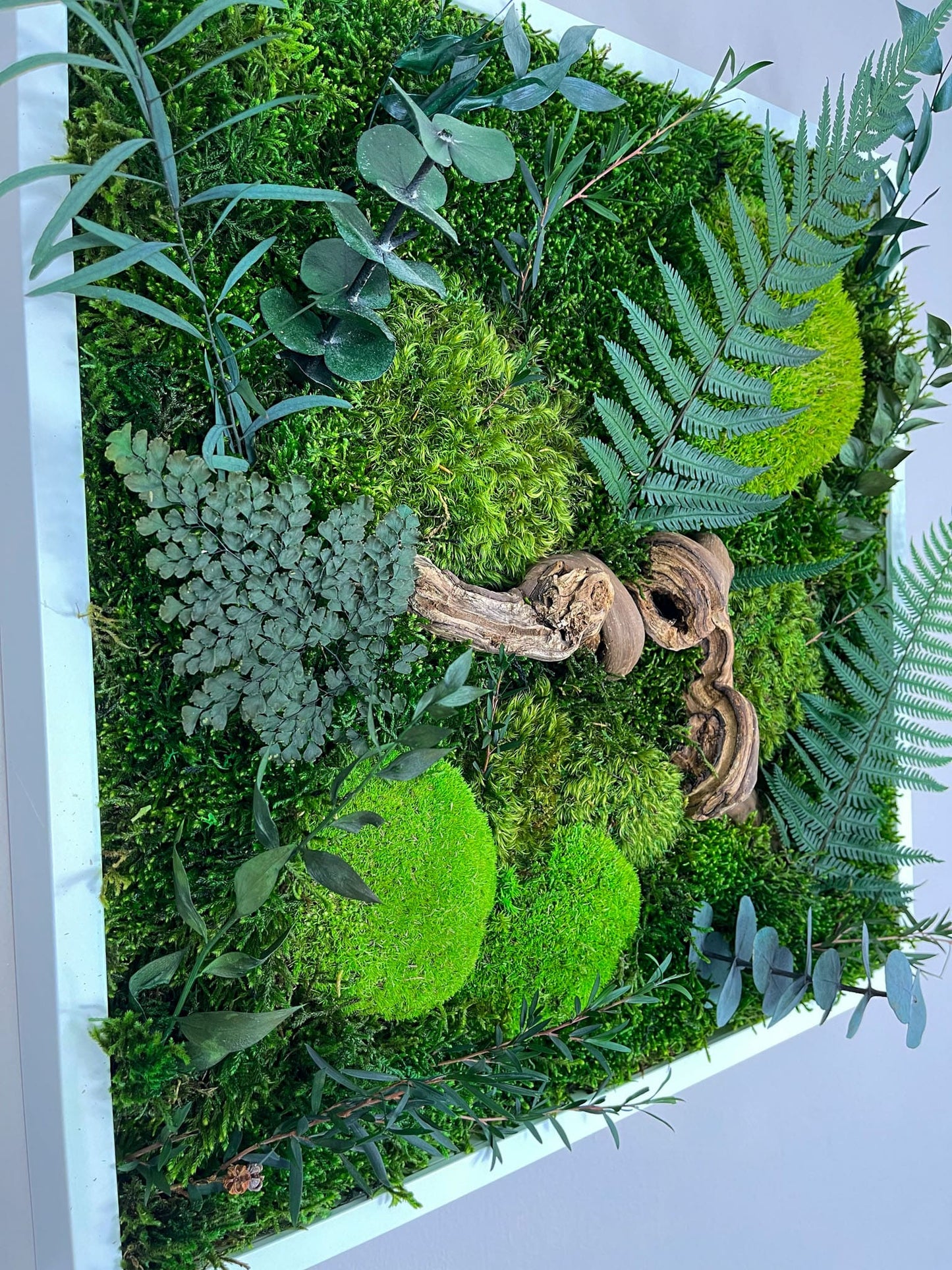 Geschenk Pusteblume Rahmen Rechteck Islandmoos moos Moosbild Rentiermoos Hellgrün Grün Natur Bollenmoos Moobilder Mooswand Pflanzen Pflanzenbild Pusteblume Pusteblumen Löwenzahn Flachmoos Waldmoos Muttertag Geburtstag Wohnung Dschungel Urban Teak