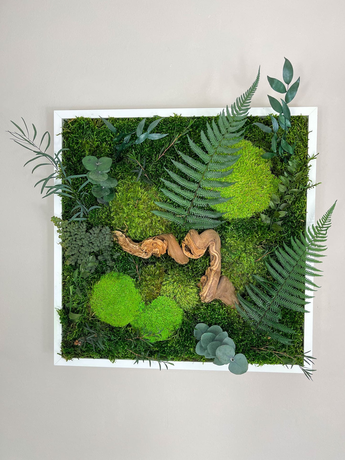 Geschenk Pusteblume Rahmen Rechteck Islandmoos moos Moosbild Rentiermoos Hellgrün Grün Natur Bollenmoos Moobilder Mooswand Pflanzen Pflanzenbild Pusteblume Pusteblumen Löwenzahn Flachmoos Waldmoos Muttertag Geburtstag Wohnung Dschungel Wurzel