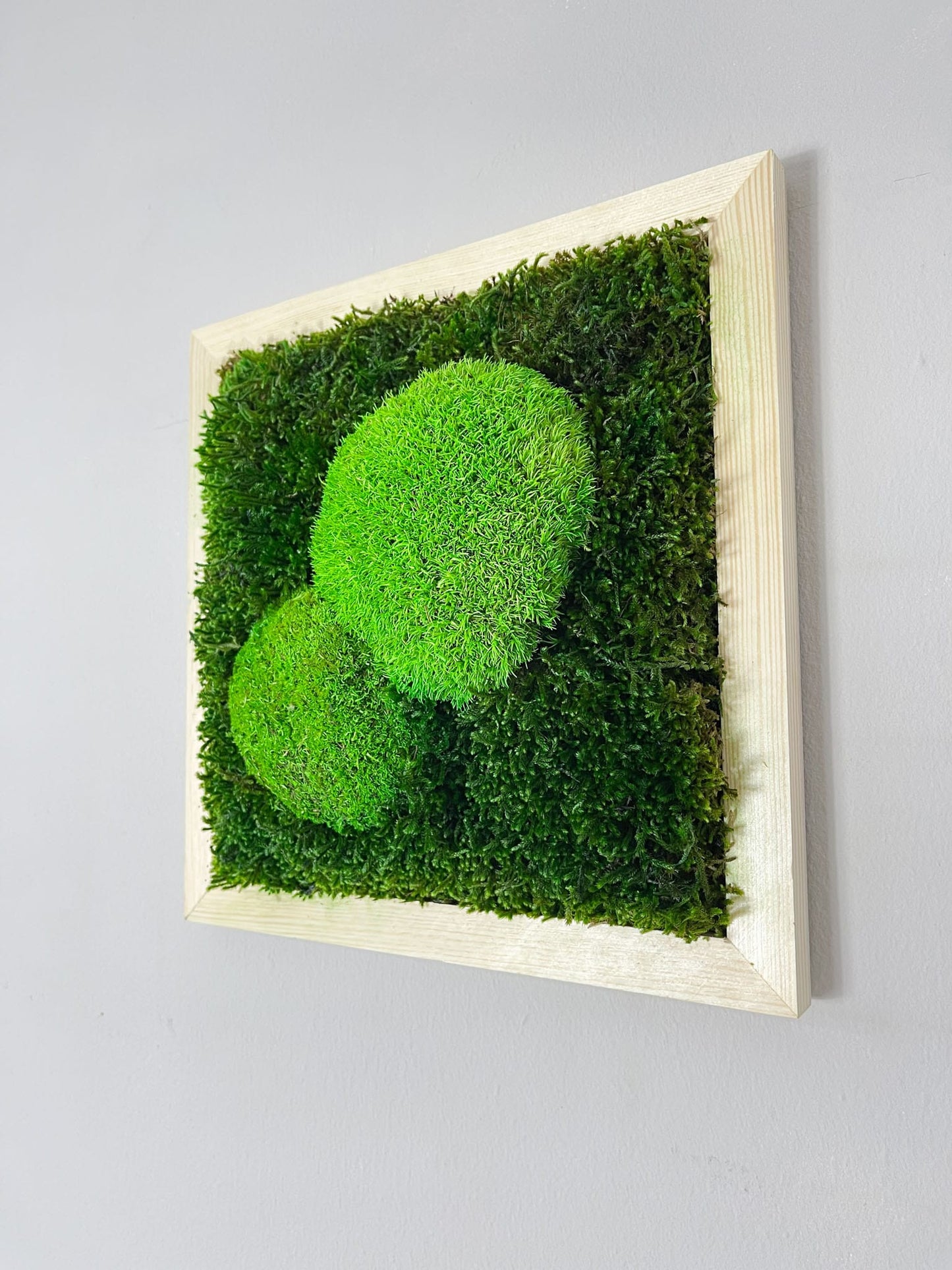 Geschenk Pusteblume Rahmen Rechteck Islandmoos moos Moosbild Rentiermoos Hellgrün Grün Natur Bollenmoos Moobilder Mooswand Pflanzen Pflanzenbild Pusteblume Pusteblumen Löwenzahn Flachmoos Waldmoos Muttertag Geburtstag Wohnung Dschungel Waldhügel