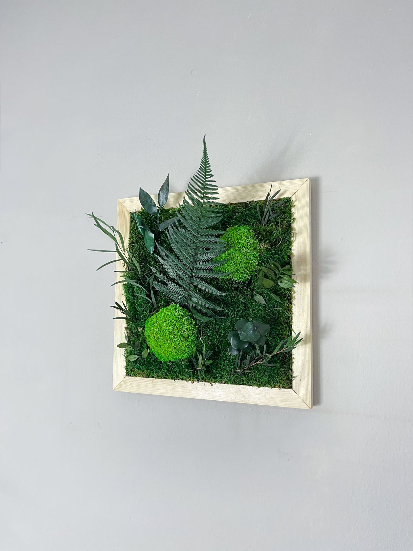 Geschenk Pusteblume Rahmen Rechteck Islandmoos moos Moosbild Rentiermoos Hellgrün Grün Natur Bollenmoos Moobilder Mooswand Pflanzen Pflanzenbild Pusteblume Pusteblumen Löwenzahn Flachmoos Waldmoos Muttertag Geburtstag Wohnung Dschungel Design
