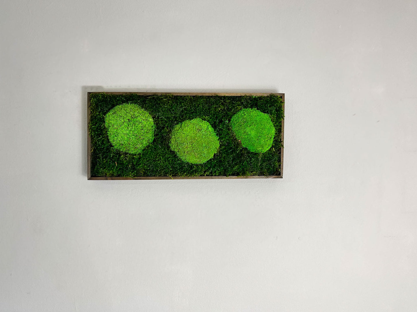 Geschenk Pusteblume Rahmen Rechteck Islandmoos moos Moosbild Rentiermoos Hellgrün Grün Natur Bollenmoos Moobilder Mooswand Pflanzen Pflanzenbild Pusteblume Pusteblumen Löwenzahn Flachmoos Waldmoos Muttertag Geburtstag Wohnung Dschungel Quer