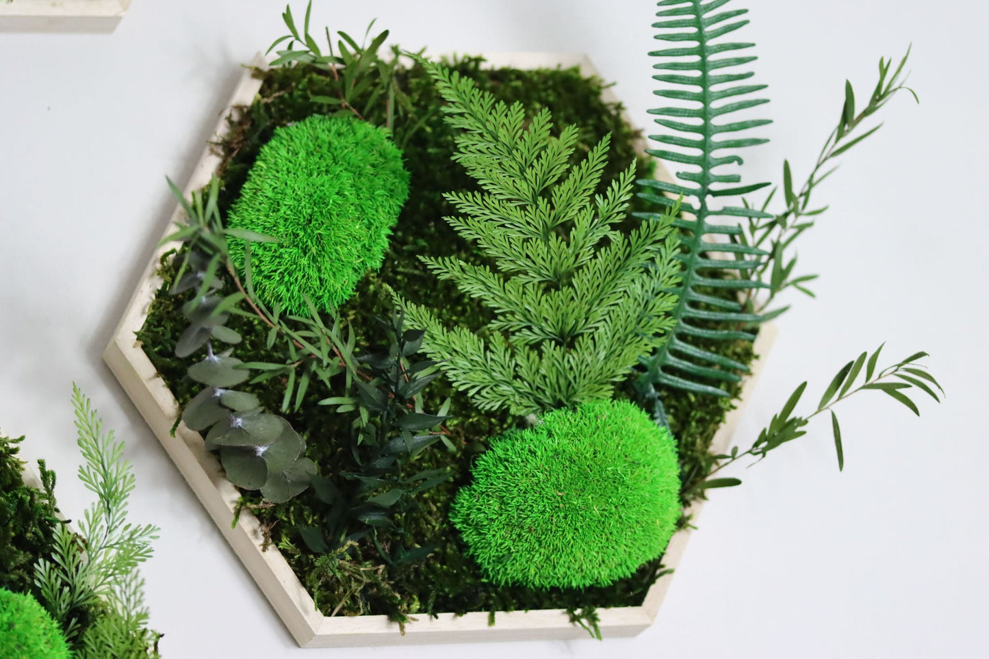 Geschenk Rahmen Hexagon Wabe Bienenwabe Waben modern Sechseck moos Moosbild Hellgrün Grün Natur Moobilder Mooswand Pflanzen Pflanzenbild Flachmoos Waldmoos Muttertag Geburtstag Wohnung Dschungel Dschungelbild Wand Deko Dekoration