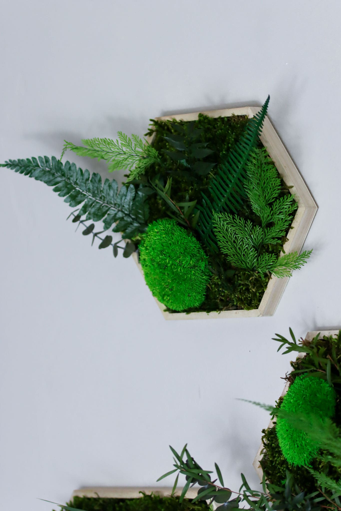 Geschenk Rahmen Hexagon Wabe Bienenwabe Waben modern Sechseck moos Moosbild Hellgrün Grün Natur Moobilder Mooswand Pflanzen Pflanzenbild Flachmoos Waldmoos Muttertag Geburtstag Wohnung Dschungel Dschungelbild Wand Deko Dekoration Natur