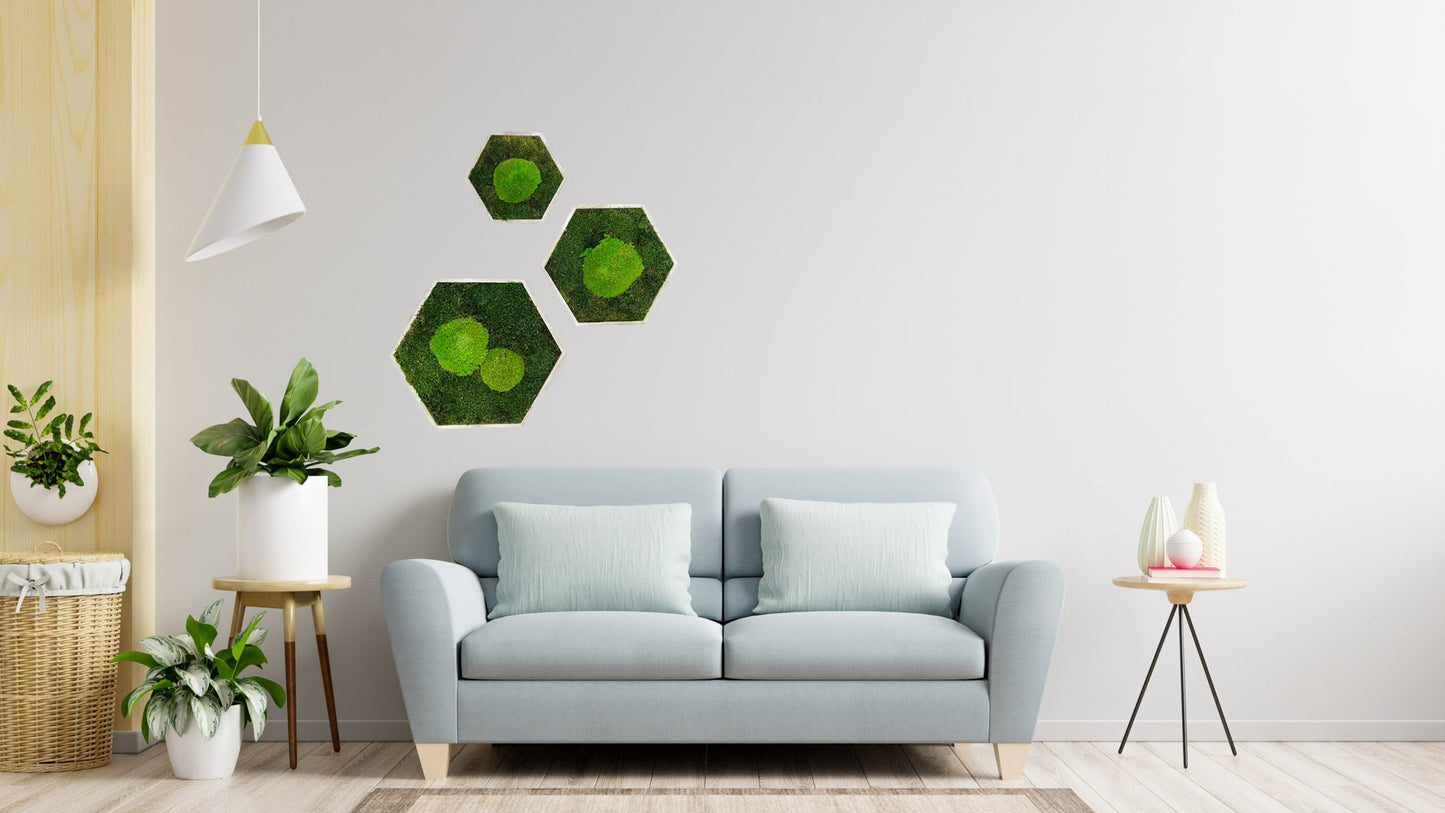Moosbild Moos Hexagon Sechseck Bild Flachmoos Ballenmoos grün green Restaurant Wohnzimmer Küche Praxis Büro Eiche Eichehell Natur Naturgeölt schwarz weiß Nussbaum steingrau Bilderrahmen Wunschfarbe Wunsch wish colour
