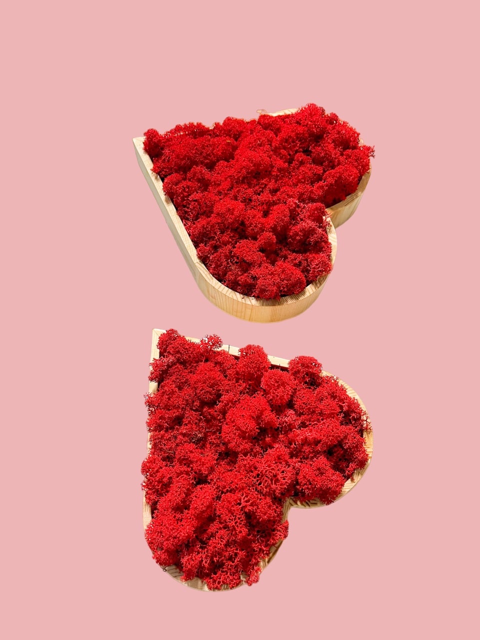 Romantisches Moosherz Moosbild rot Herz mit Holz Rahmen Sorte Islandmoos