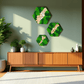 Geschenk Pusteblume Rahmen Waldmoos Muttertag Geburtstag Wohnung Ranke Hexagon Einrichtung Büro  Moosbilder Mooswand Pflanzen Pflanzenbild Flachmoos Waldmoos Muttertag Geburtstag Wohnung Wand Deko Dekoration Islandmoos Rentiermoos Ast Teak Treibholz innen grün Wald Innenraum Deko Dekoration Baum Lebensbaum Leben Dekoast Äste Baumscheibe Holzscheibe Astscheibe diy Gedankenwunder wohnen einrichten Haus Kauf