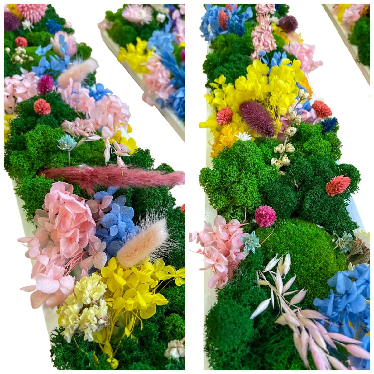 Geschenk  Rahmen Rechteck Islandmoos moos Moosbild Rentiermoos Hellgrün Grün Natur Bollenmoos Moobilder Mooswand Pflanzen Pflanzenbild Flachmoos Waldmoos Muttertag Geburtstag Wohnung Hortensie Hortensien Hortensienwald Blume Manufaktur