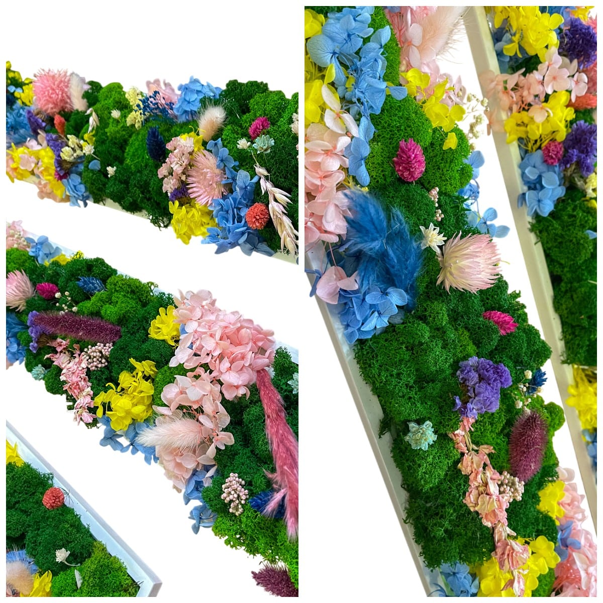 Geschenk  Rahmen Rechteck Islandmoos moos Moosbild Rentiermoos Hellgrün Grün Natur Bollenmoos Moobilder Mooswand Pflanzen Pflanzenbild Flachmoos Waldmoos Muttertag Geburtstag Wohnung Hortensie Hortensien Farbenspiel Rechteck 