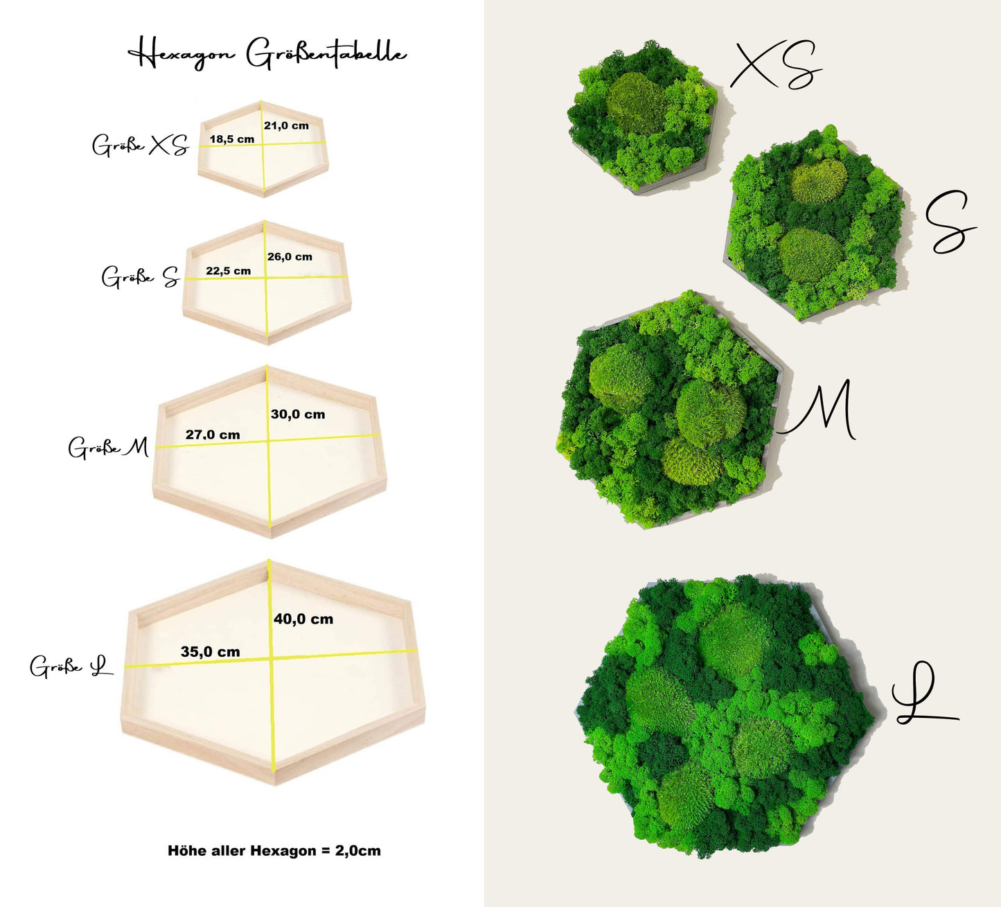 Moosbild Kombi Islandmoos & Ballenmoos Hexagon Holz Rahmen