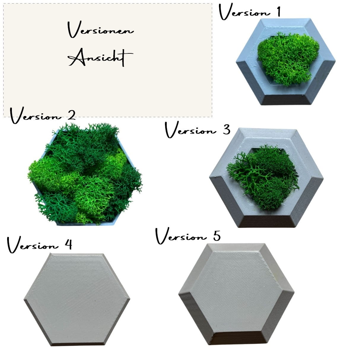 Geschenk Rahmen modern moos Moosbild  Hellgrün Grün Natur Moosbilder Mooswand Pflanzen Mini Mosaik Steine Fliese Hexagon Wabe Auswahl Version Sechseck