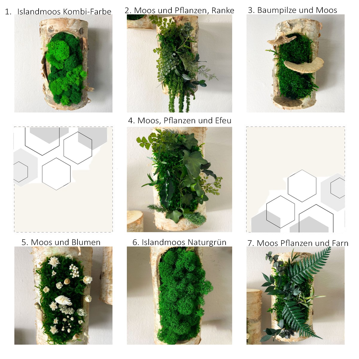 Moos Moss Objekt  Deko Dekoration Pflanzen konserviert biophelic Treibholz Teak Wanddeko Unikat Baumrinde Rinde Kork Korkrinde konservieret Islandmoos Auswahl