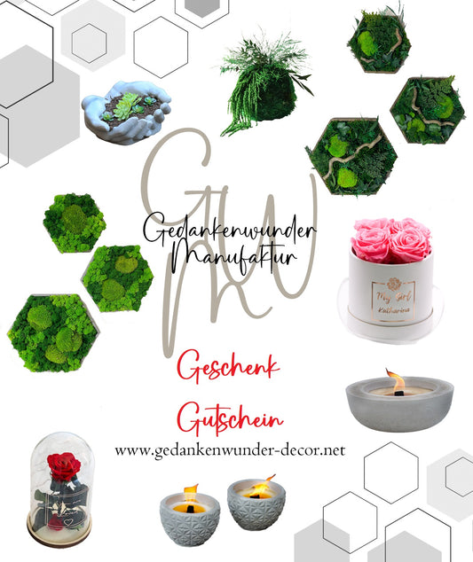 Geschenk Rahmen modern moos Moosbild  Hellgrün Grün Natur Moosbilder Mooswand Pflanzen Pflanzenbild Flachmoos Waldmoos Muttertag Geburtstag Wohnung Wand Deko Dekoration Islandmoos Rentiermoos Ast Teak Treibholz innen grün Wald Innenraum Deko Dekoration Gedankenwunder Code Gutschein Gutscheincode
