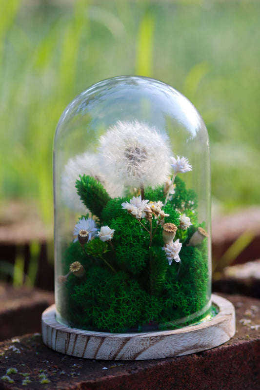 Glasglocke Moos & Trockenblumen| Gedankenwunder Manufaktur – Gedankenwunder HomeDecor