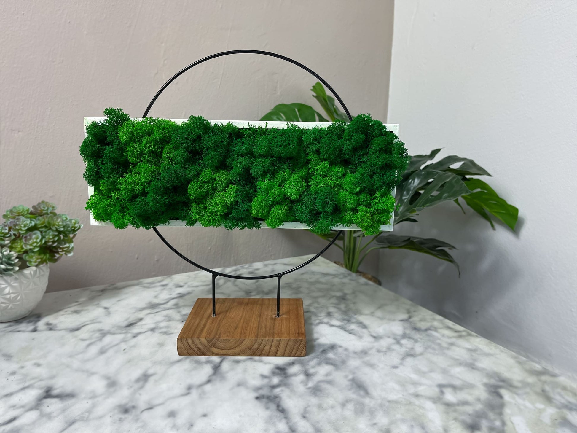 Pflanzenring mit Islandmoos Moos Deko