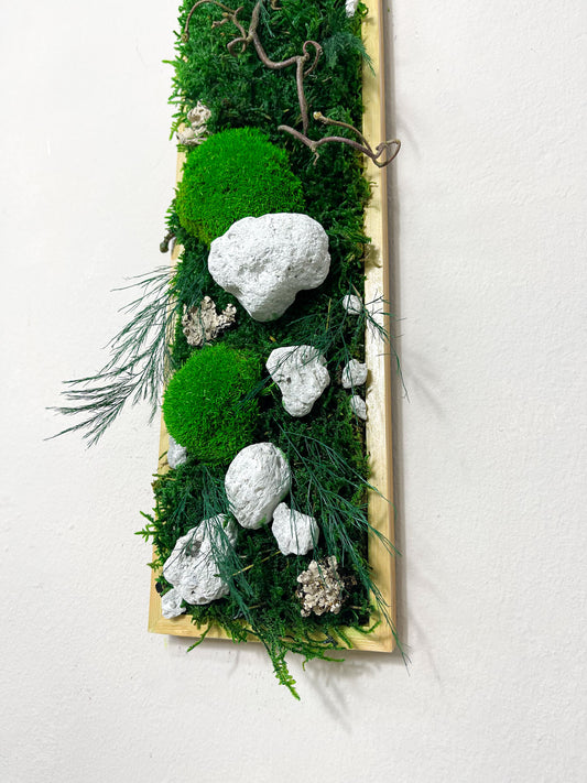 Geschenk Rahmen modern moos Moosbild  Hellgrün Grün Natur Moosbilder Mooswand Pflanzen Pflanzenbild Flachmoos Waldmoos Muttertag Geburtstag Wohnung Wand Deko Dekoration Stein Steine Waldstein Baumschwamm Baumpilz Pilze Baumpilz Ast Äste Nussbaum Korkenzieher Korkenzieheräste Gedankenwunder Manufaktur Kugelmoos Hügelmoos Design Designer Wandbild Flechte Flechten biophelic grün Baumscheiben Waldmoos Gemälde Holz Holzsorten Auswahl Farben