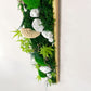 Geschenk Rahmen modern moos Moosbild  Hellgrün Grün Natur Moosbilder Mooswand Pflanzen Pflanzenbild Flachmoos Waldmoos Muttertag Geburtstag Wohnung Wand Deko Dekoration Stein Steine Waldstein Baumschwamm Baumpilz Pilze Baumpilz Ast Äste Nussbaum Korkenzieher Korkenzieheräste Gedankenwunder Manufaktur Kugelmoos Hügelmoos Design Designer Wandbild Flechte Flechten biophelic grün Baumscheiben Waldmoos Gemälde Holz Holzsorten Auswahl Farben Steinpfad Home Office Büro Einrichtung Laden Ladeneinrichtung 