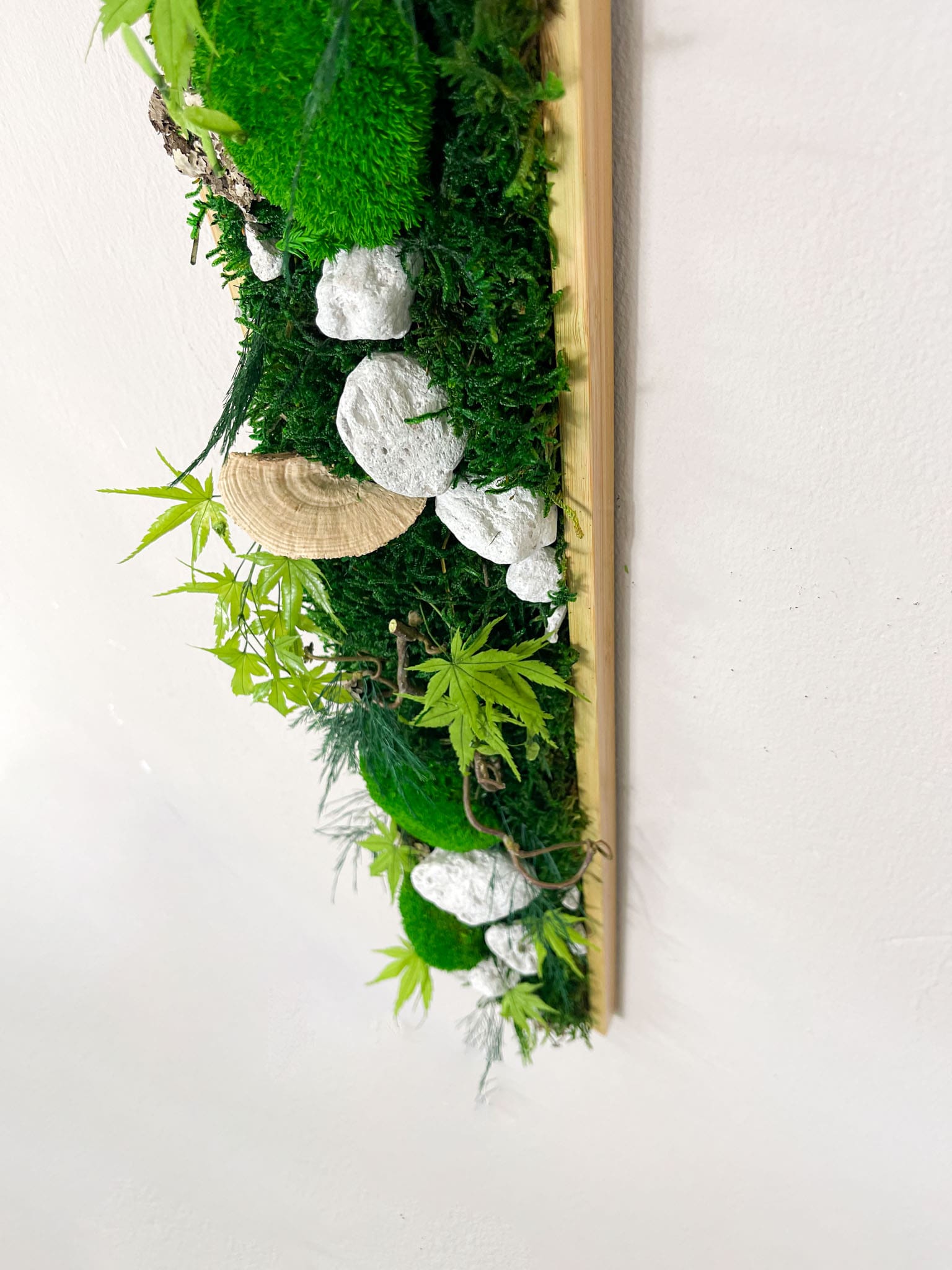Geschenk Rahmen modern moos Moosbild  Hellgrün Grün Natur Moosbilder Mooswand Pflanzen Pflanzenbild Flachmoos Waldmoos Muttertag Geburtstag Wohnung Wand Deko Dekoration Stein Steine Waldstein Baumschwamm Baumpilz Pilze Baumpilz Ast Äste Nussbaum Korkenzieher Korkenzieheräste Gedankenwunder Manufaktur Kugelmoos Hügelmoos Design Designer Wandbild Flechte Flechten biophelic grün Baumscheiben Waldmoos Gemälde Holz Holzsorten Auswahl Farben Steinpfad Home Office Büro Einrichtung Laden Ladeneinrichtung 