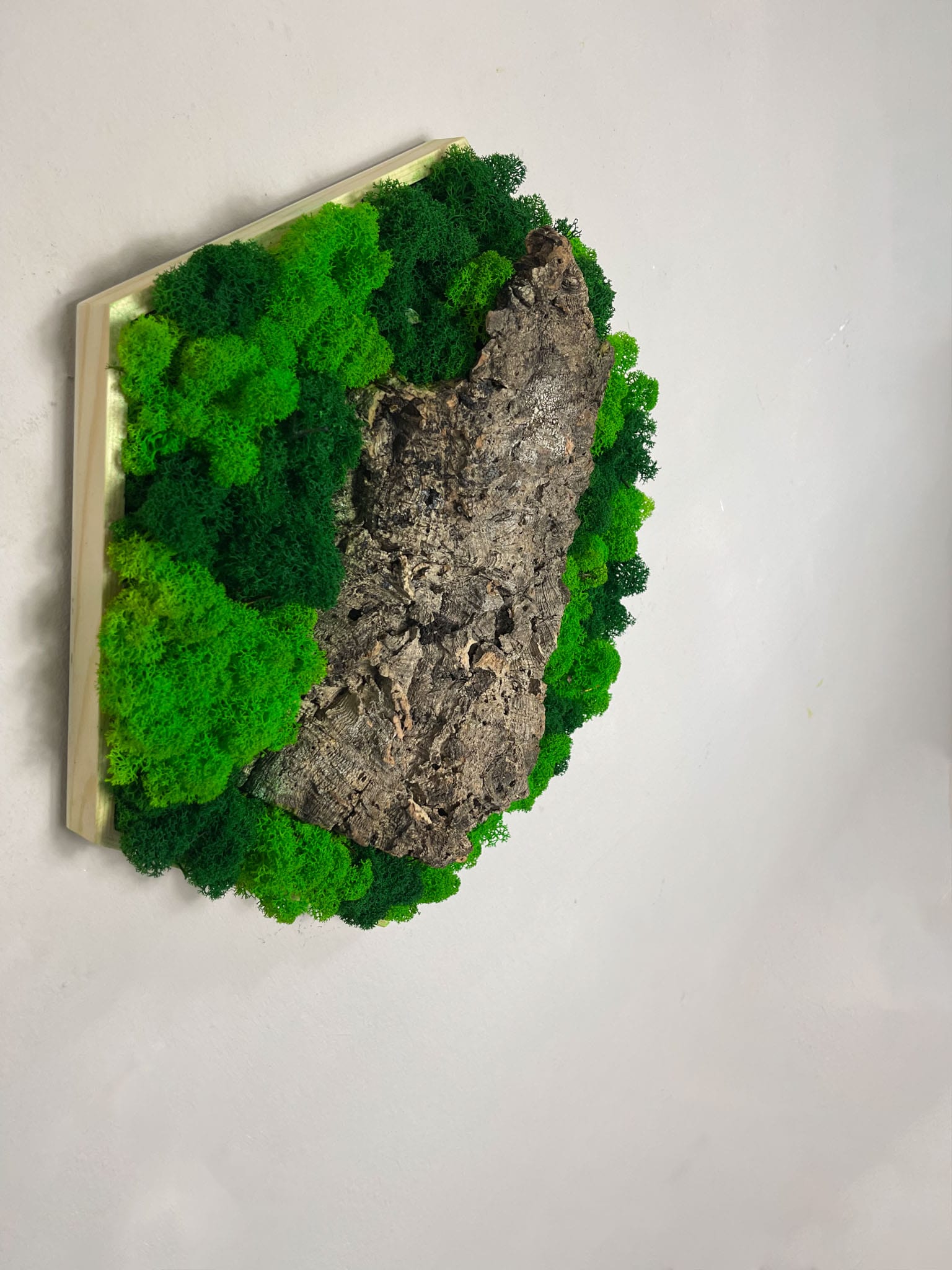 Geschenk Rahmen Hexagon Wabe Bienenwabe Waben modern Sechseck  moos Moosbild  Hellgrün Grün Natur  Moobilder Mooswand Pflanzen Pflanzenbild Flachmoos Waldmoos Muttertag Geburtstag Wohnung Wand Deko Dekoration Islandmoos Rentiermoos Holzmoos Holzstück Gedankenwunder