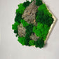 Geschenk Rahmen Hexagon Wabe Bienenwabe Waben modern Sechseck  moos Moosbild  Hellgrün Grün Natur  Moobilder Mooswand Pflanzen Pflanzenbild Flachmoos Waldmoos Muttertag Geburtstag Wohnung Wand Deko Dekoration Islandmoos Rentiermoos Holzmoos Holzstück Kork verteilt