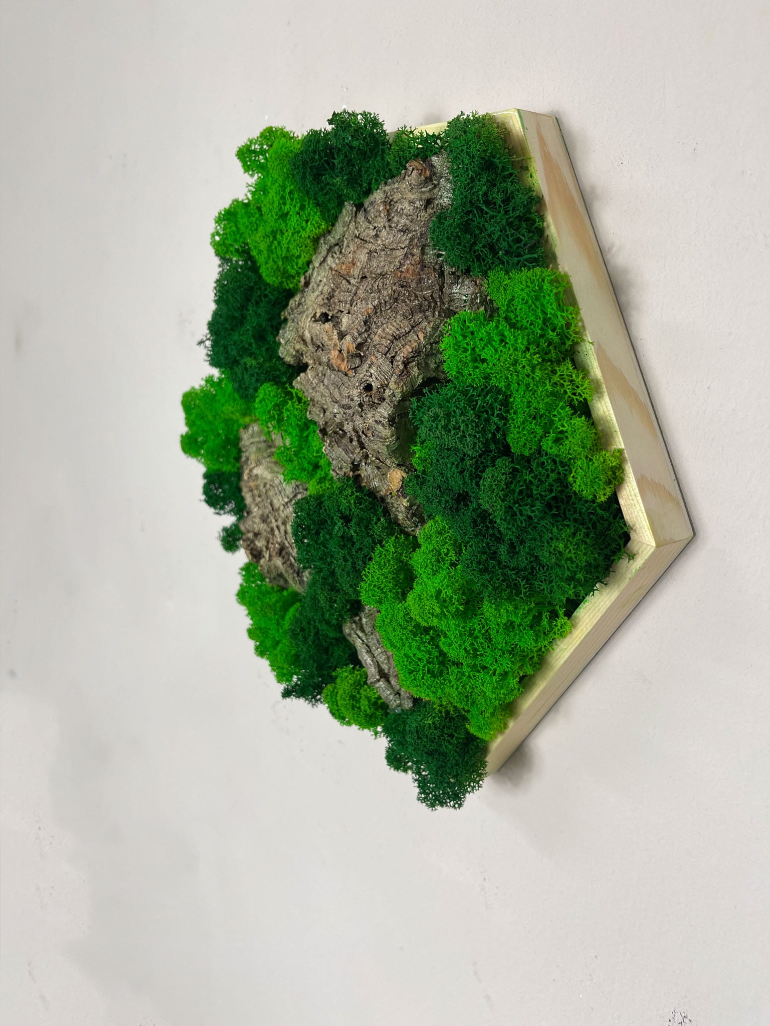 Geschenk Rahmen Hexagon Wabe Bienenwabe Waben modern Sechseck  moos Moosbild  Hellgrün Grün Natur  Moobilder Mooswand Pflanzen Pflanzenbild Flachmoos Waldmoos Muttertag Geburtstag Wohnung Wand Deko Dekoration Islandmoos Rentiermoos Holzmoos Holzstück Korkrinde