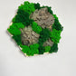 Geschenk Rahmen Hexagon Wabe Bienenwabe Waben modern Sechseck  moos Moosbild  Hellgrün Grün Natur  Moobilder Mooswand Pflanzen Pflanzenbild Flachmoos Waldmoos Muttertag Geburtstag Wohnung Wand Deko Dekoration Islandmoos Rentiermoos Holzmoos Holzstück Kork rustikal